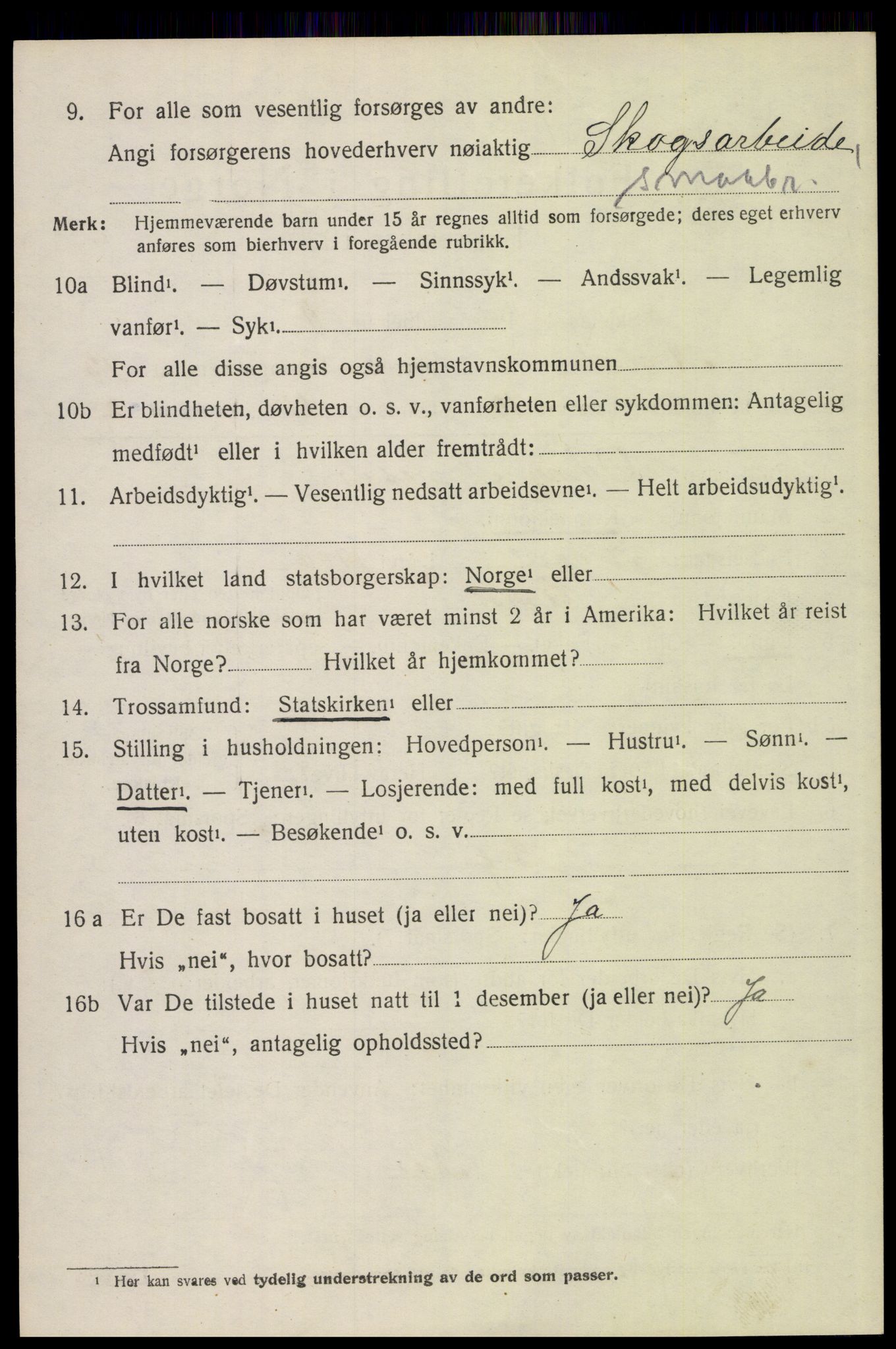 SAH, 1920 census for Åmot, 1920, p. 10862