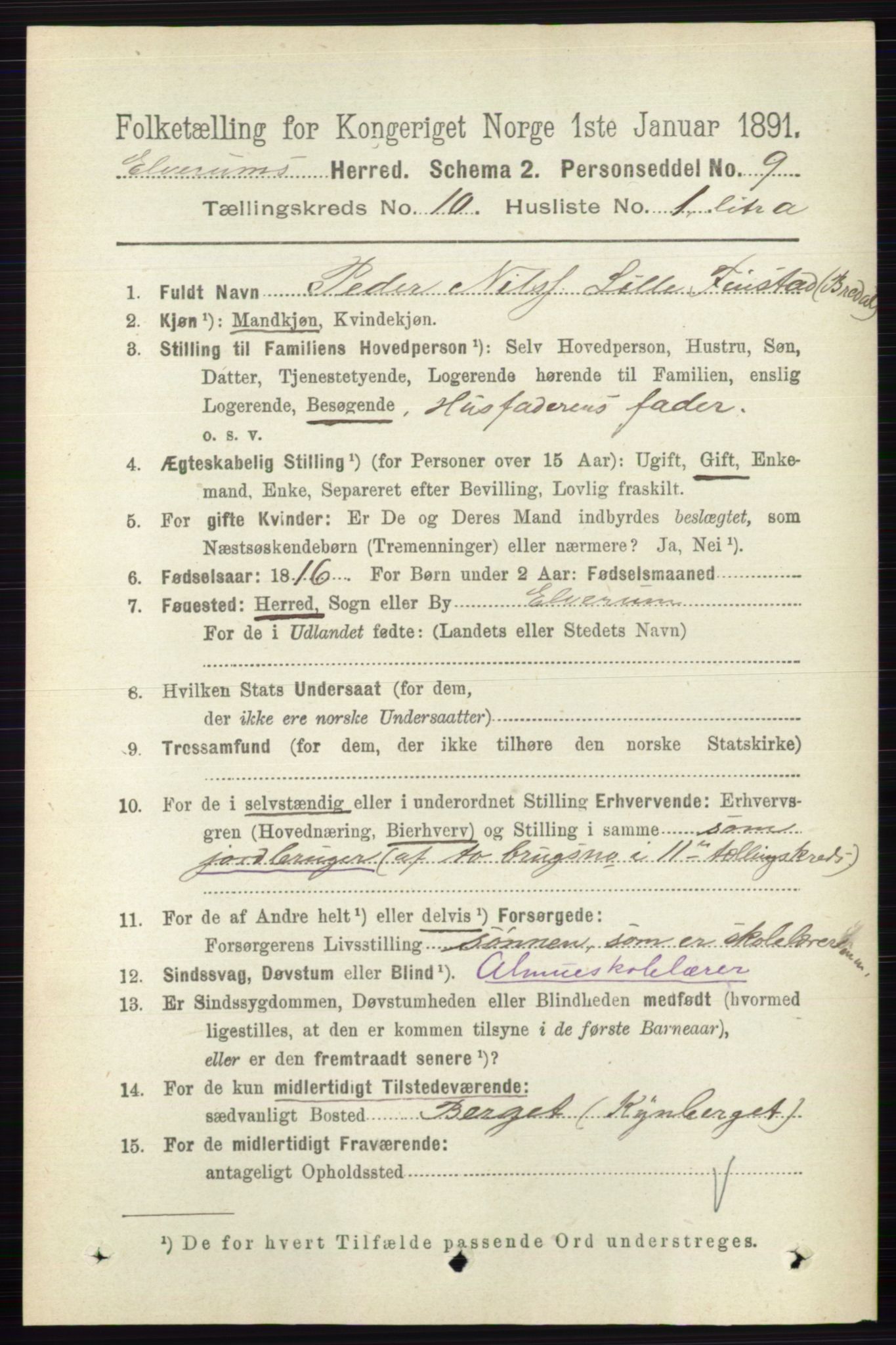 RA, 1891 census for 0427 Elverum, 1891, p. 8210