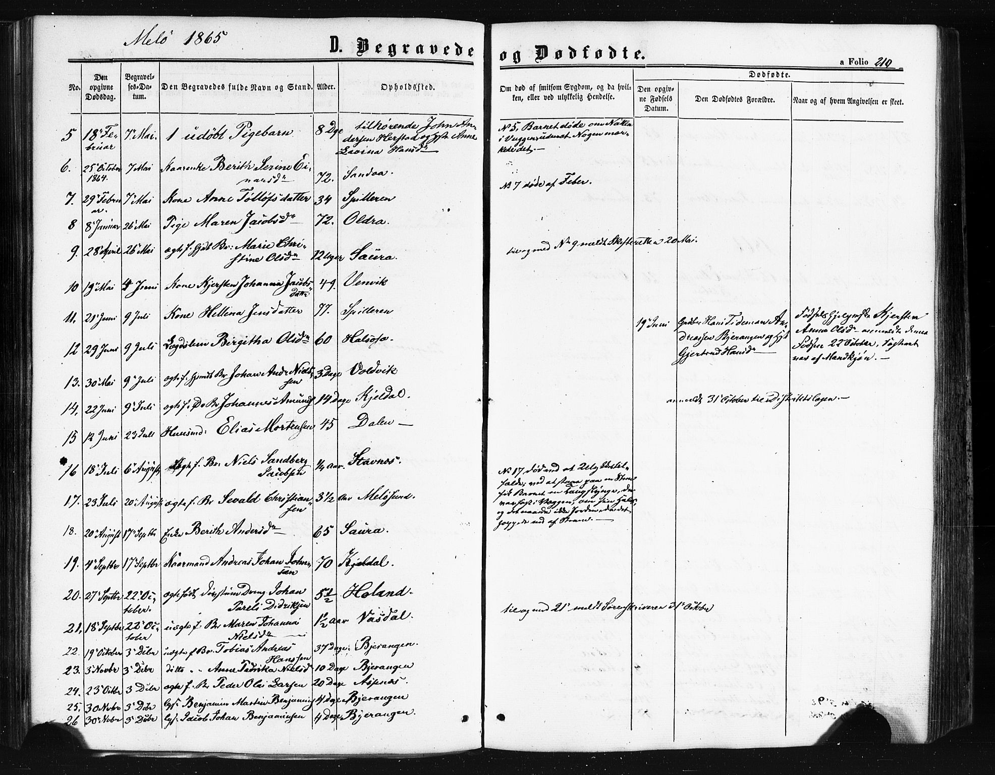 Ministerialprotokoller, klokkerbøker og fødselsregistre - Nordland, AV/SAT-A-1459/841/L0607: Parish register (official) no. 841A11 /2, 1863-1877, p. 210