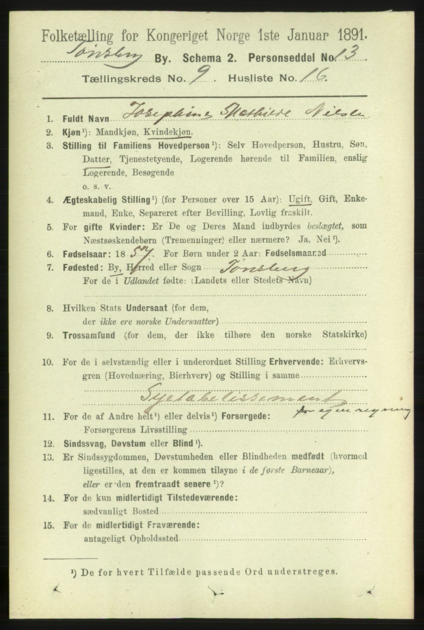 RA, 1891 census for 0705 Tønsberg, 1891, p. 3594