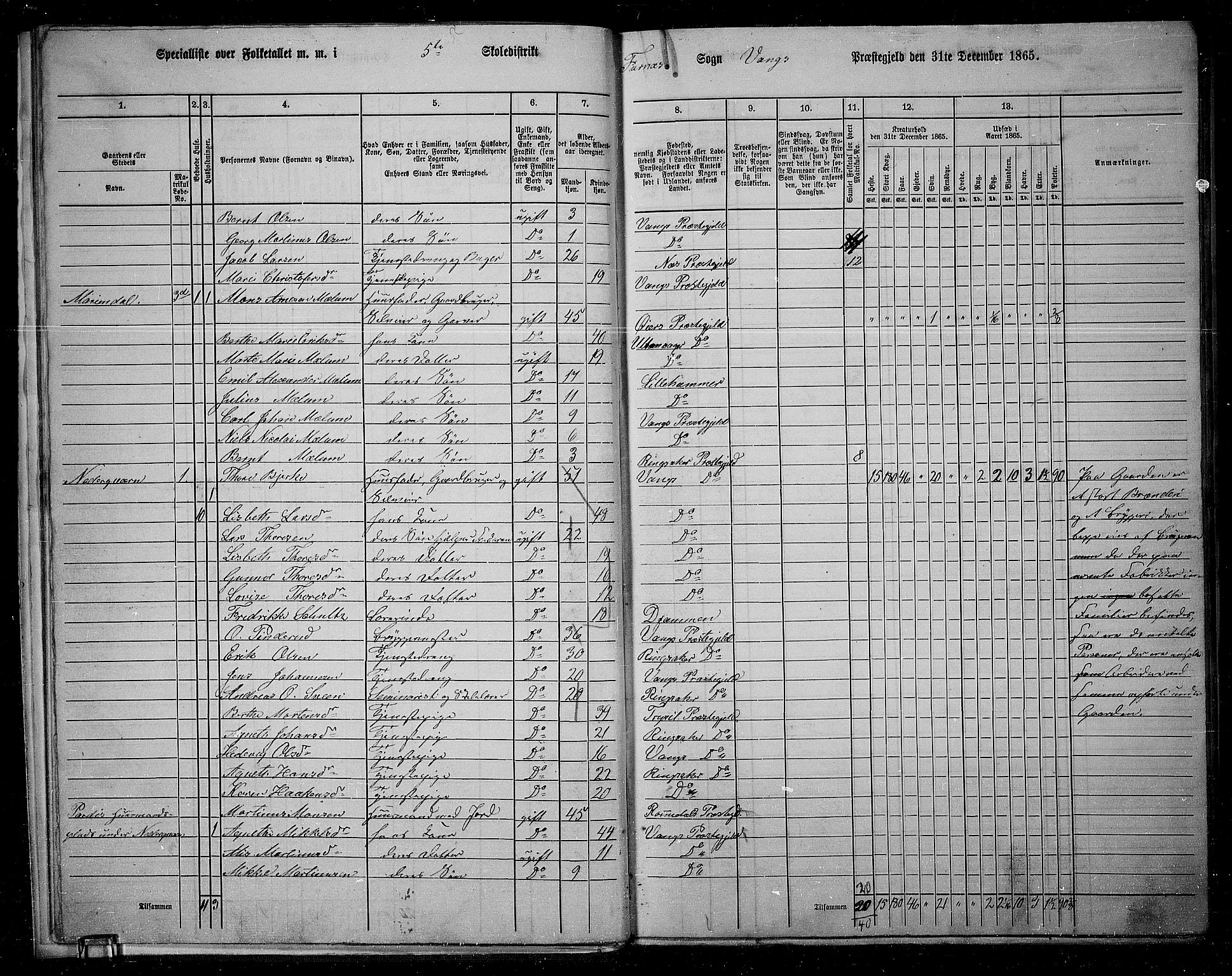 RA, 1865 census for Vang/Vang og Furnes, 1865, p. 16