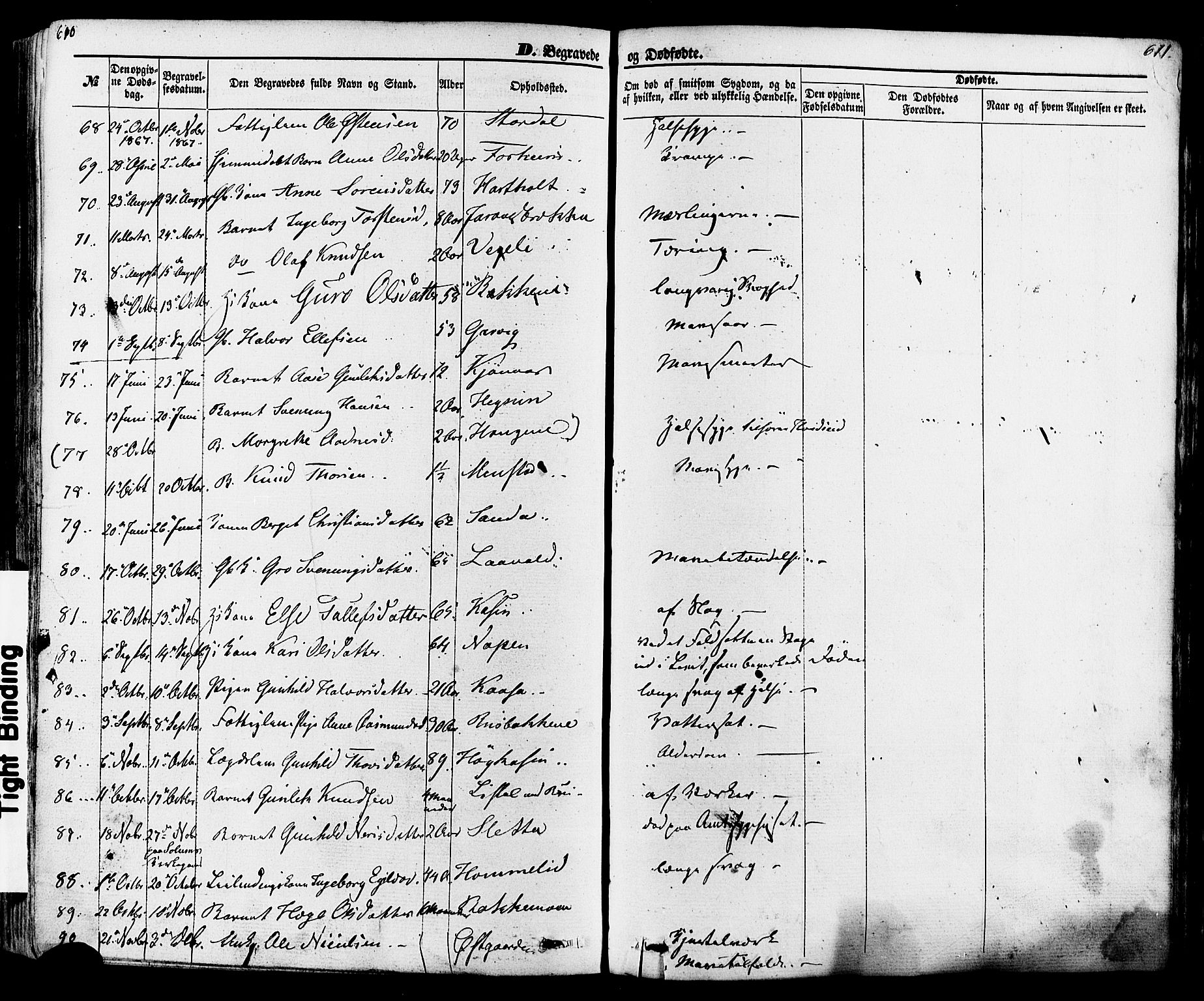 Seljord kirkebøker, SAKO/A-20/F/Fa/L0013: Parish register (official) no. I 13, 1866-1876, p. 610-611