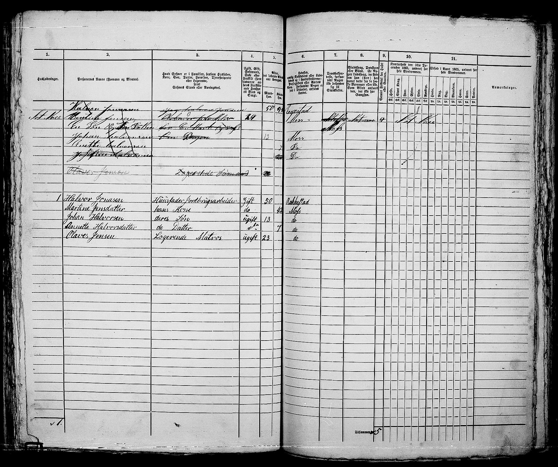 RA, 1865 census for Moss/Moss, 1865, p. 575