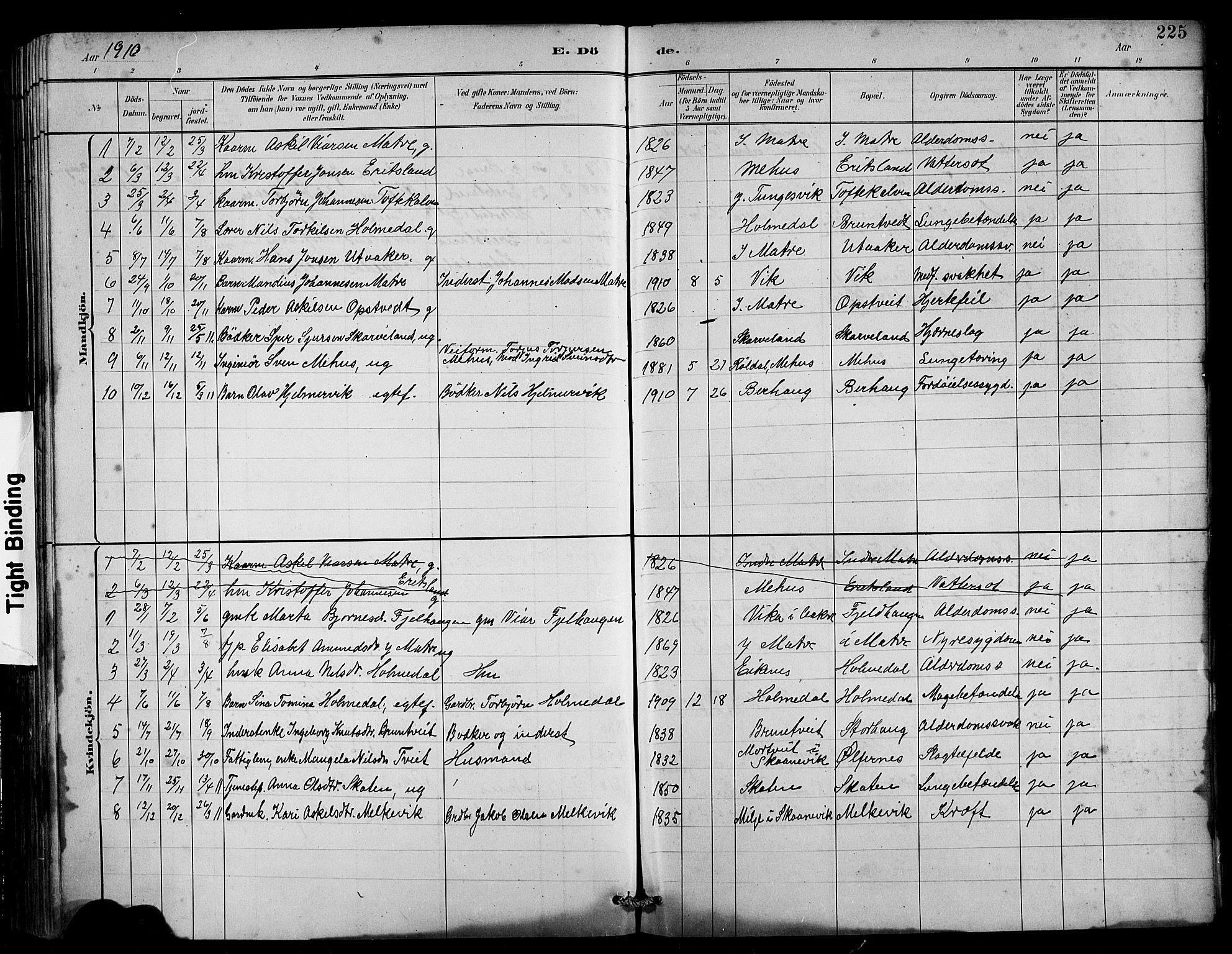 Husnes Sokneprestembete, SAB/A-75901/H/Hab: Parish register (copy) no. B 2, 1884-1914, p. 225