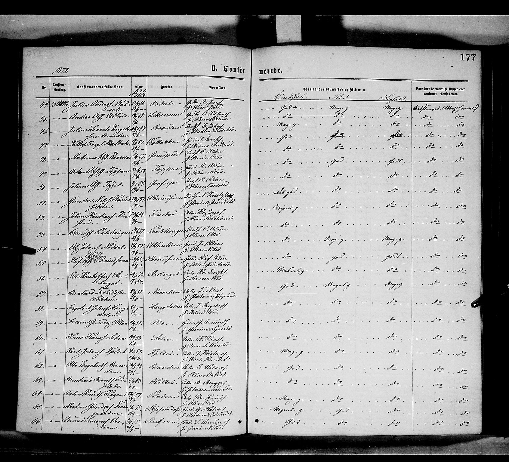 Elverum prestekontor, AV/SAH-PREST-044/H/Ha/Haa/L0011: Parish register (official) no. 11, 1869-1879, p. 177