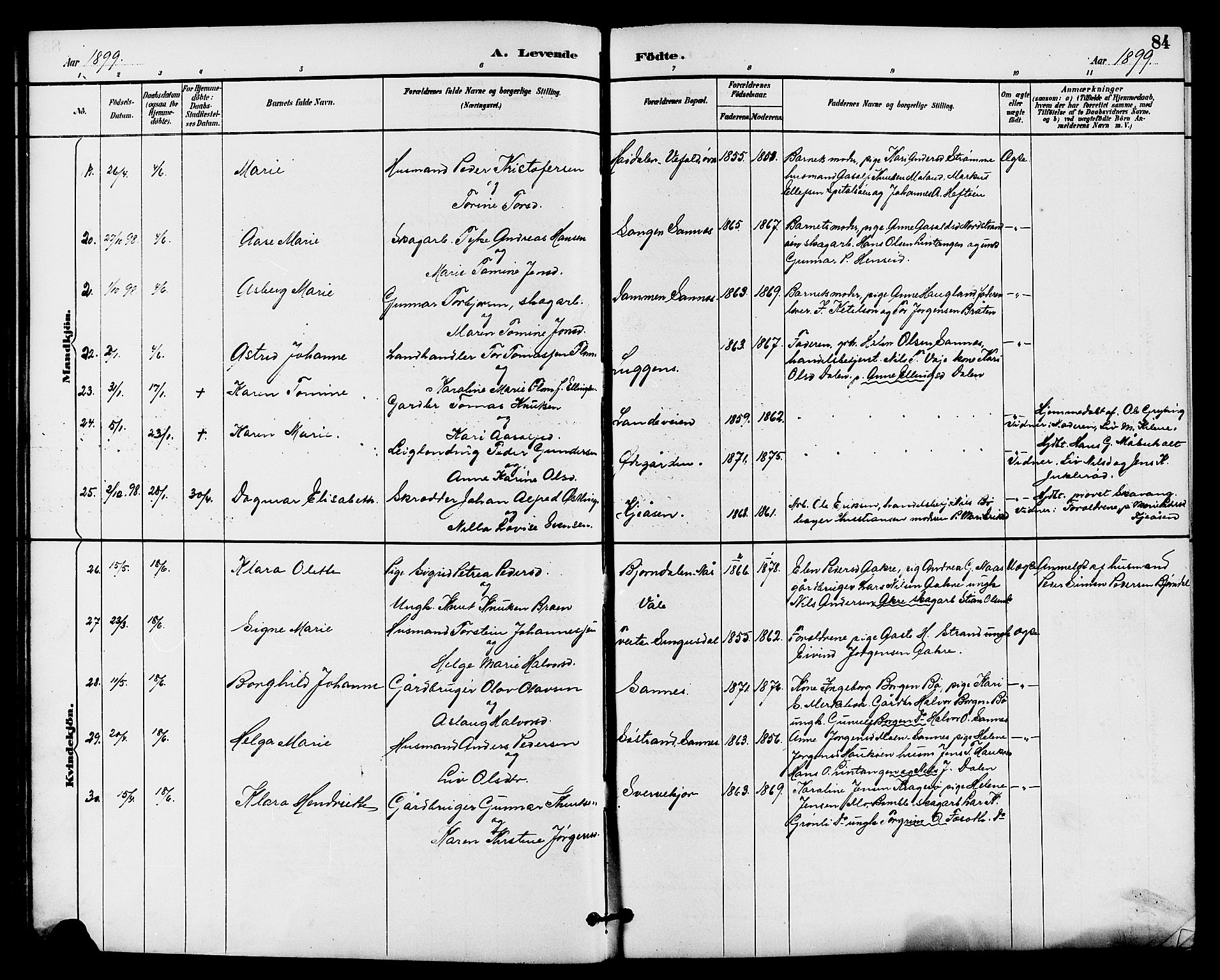 Drangedal kirkebøker, AV/SAKO-A-258/G/Ga/L0003: Parish register (copy) no. I 3, 1887-1906, p. 84