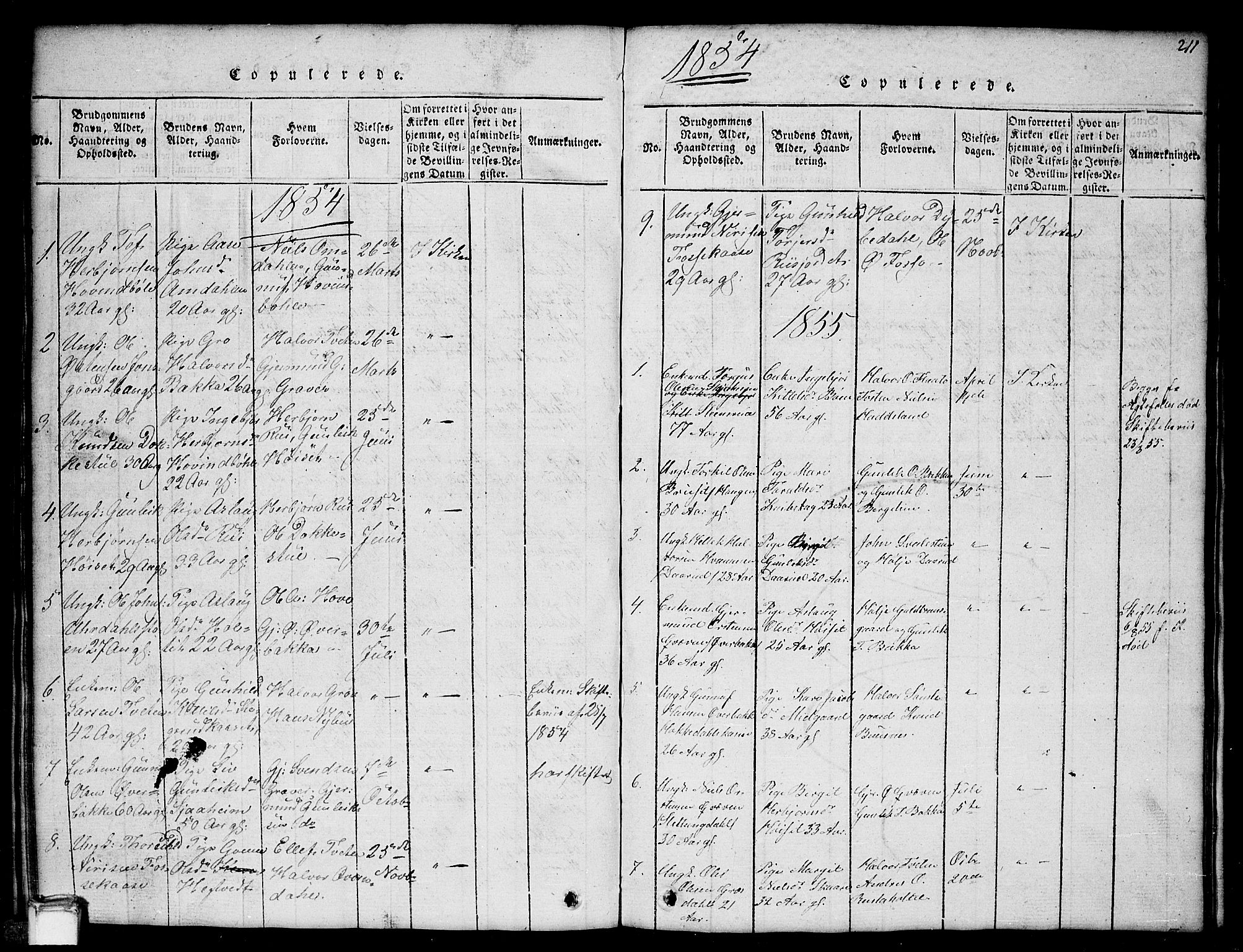 Gransherad kirkebøker, AV/SAKO-A-267/G/Gb/L0001: Parish register (copy) no. II 1, 1815-1860, p. 211