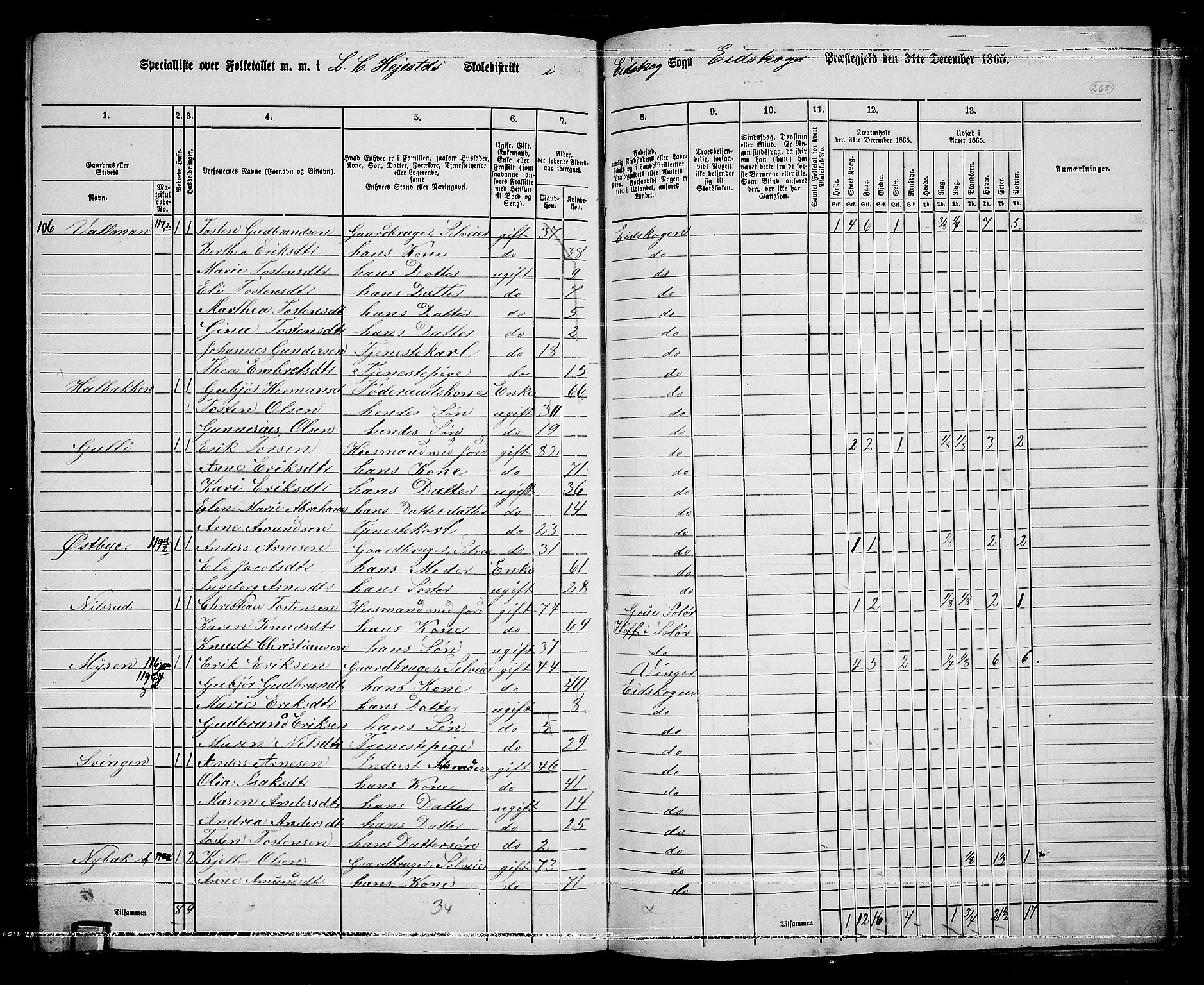 RA, 1865 census for Eidskog, 1865, p. 241