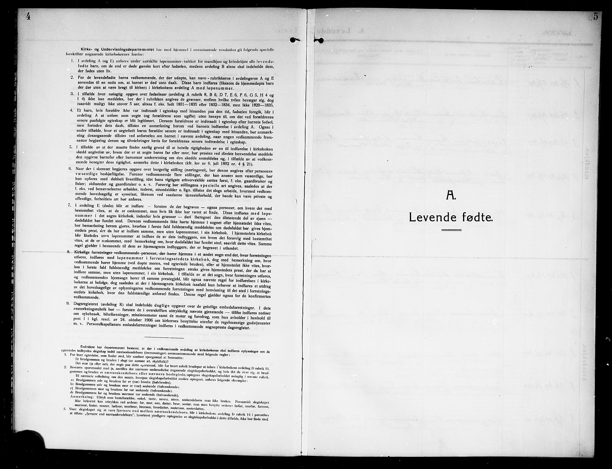 Ådal kirkebøker, SAKO/A-248/G/Gb/L0002: Parish register (copy) no. II 2, 1909-1920, p. 4-5