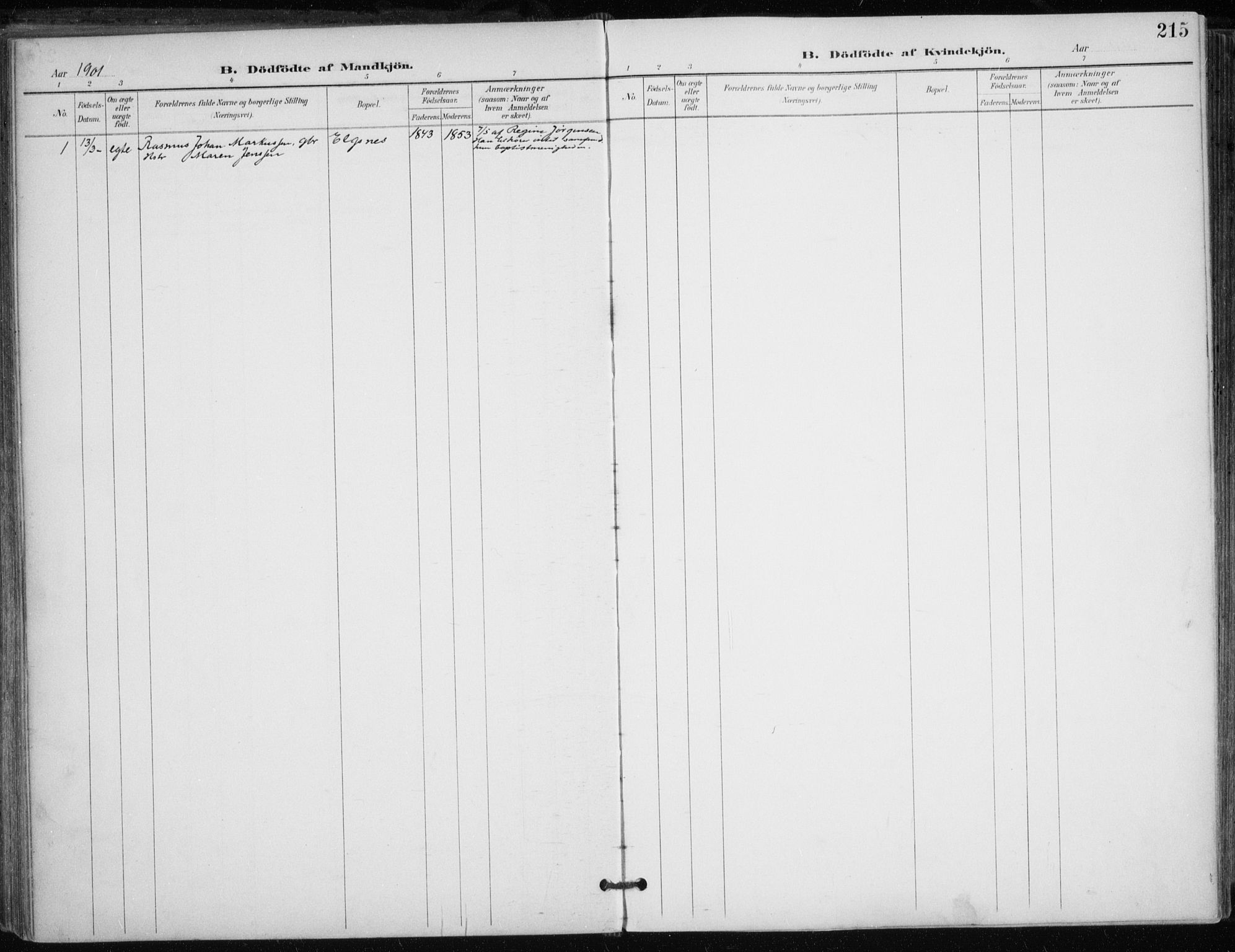 Trondenes sokneprestkontor, AV/SATØ-S-1319/H/Ha/L0017kirke: Parish register (official) no. 17, 1899-1908, p. 215