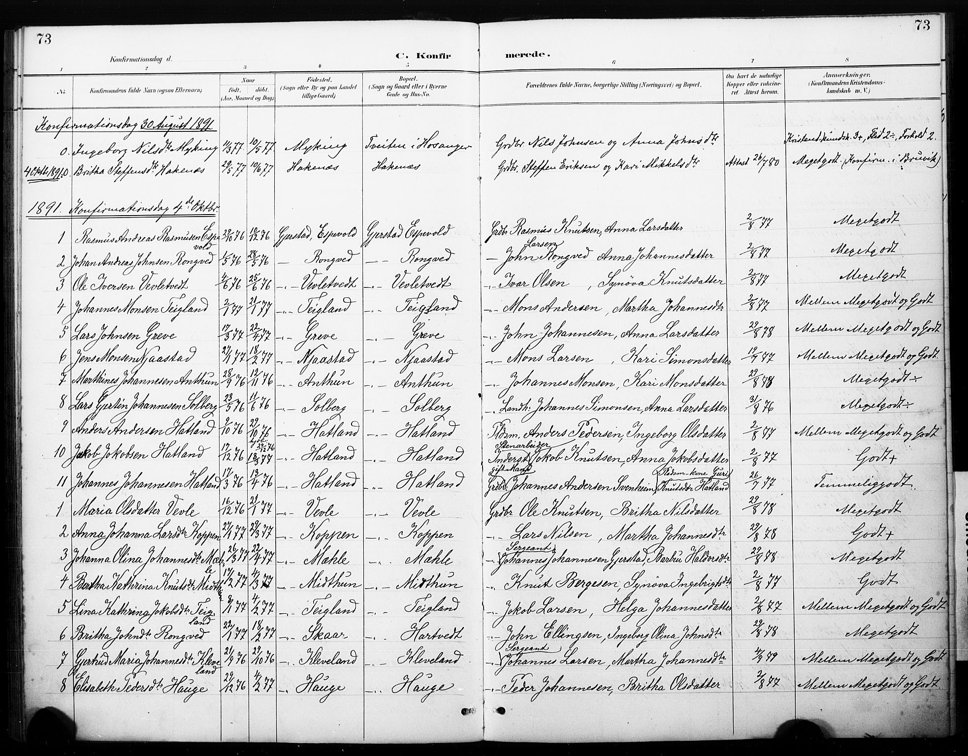 Haus sokneprestembete, AV/SAB-A-75601/H/Haa: Parish register (official) no. C 1, 1887-1899, p. 73