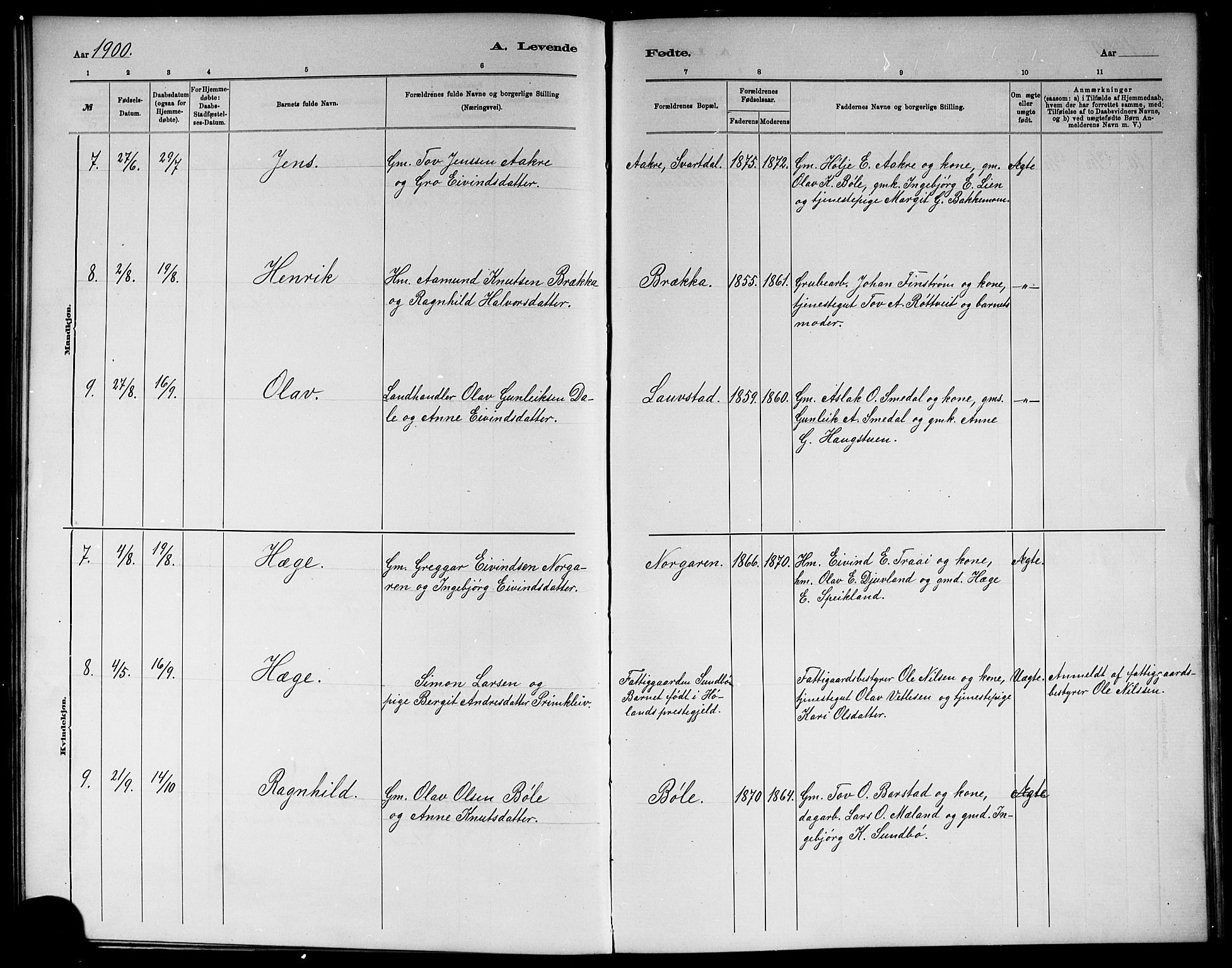 Seljord kirkebøker, AV/SAKO-A-20/G/Gb/L0004: Parish register (copy) no. II 4, 1885-1921