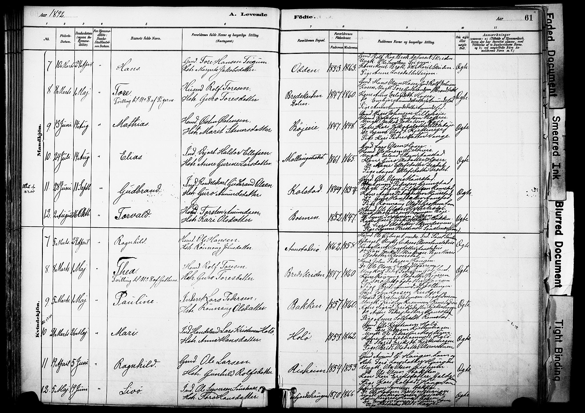 Skjåk prestekontor, AV/SAH-PREST-072/H/Ha/Haa/L0003: Parish register (official) no. 3, 1880-1907, p. 61