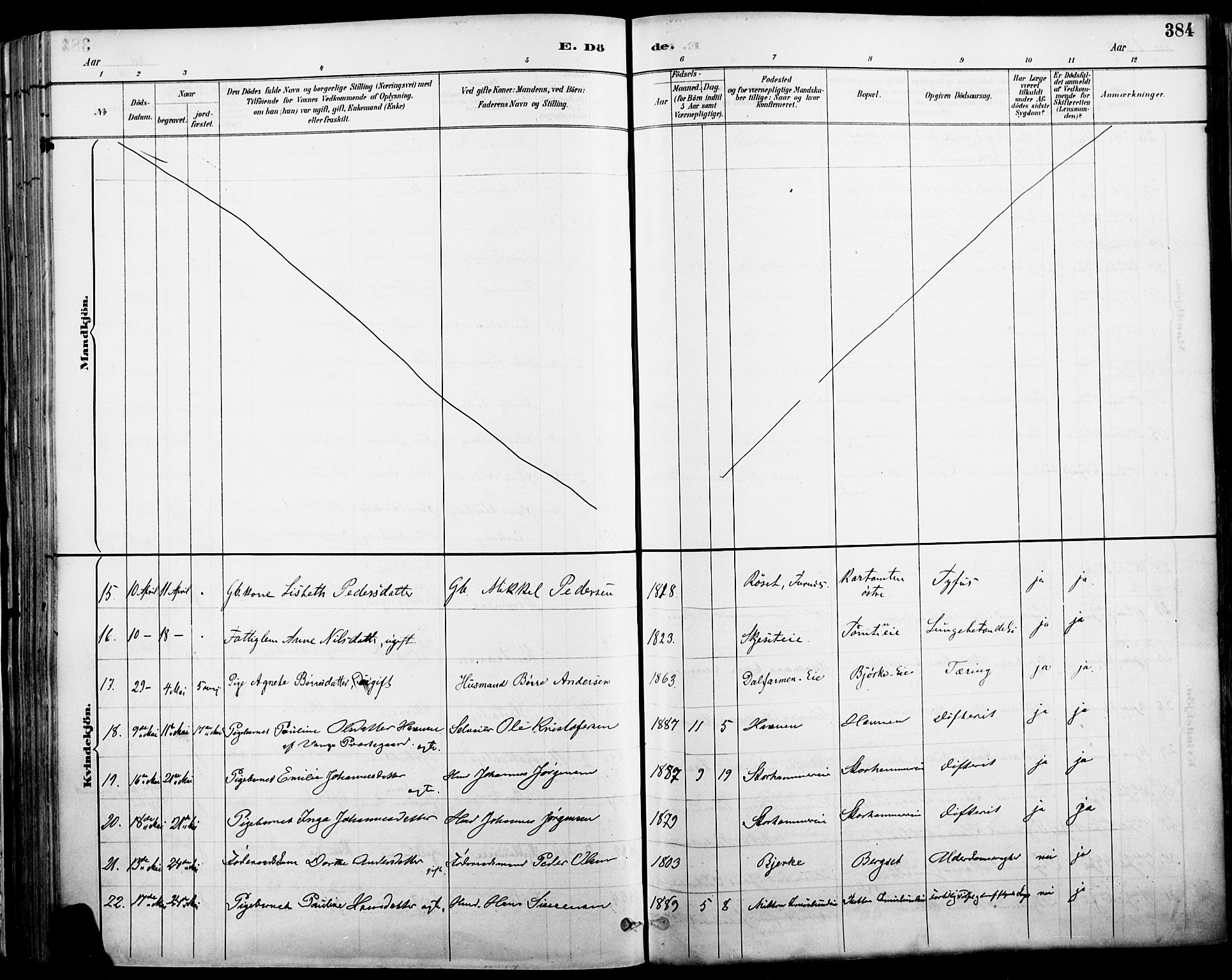 Vang prestekontor, Hedmark, AV/SAH-PREST-008/H/Ha/Haa/L0019A: Parish register (official) no. 19, 1886-1900, p. 384