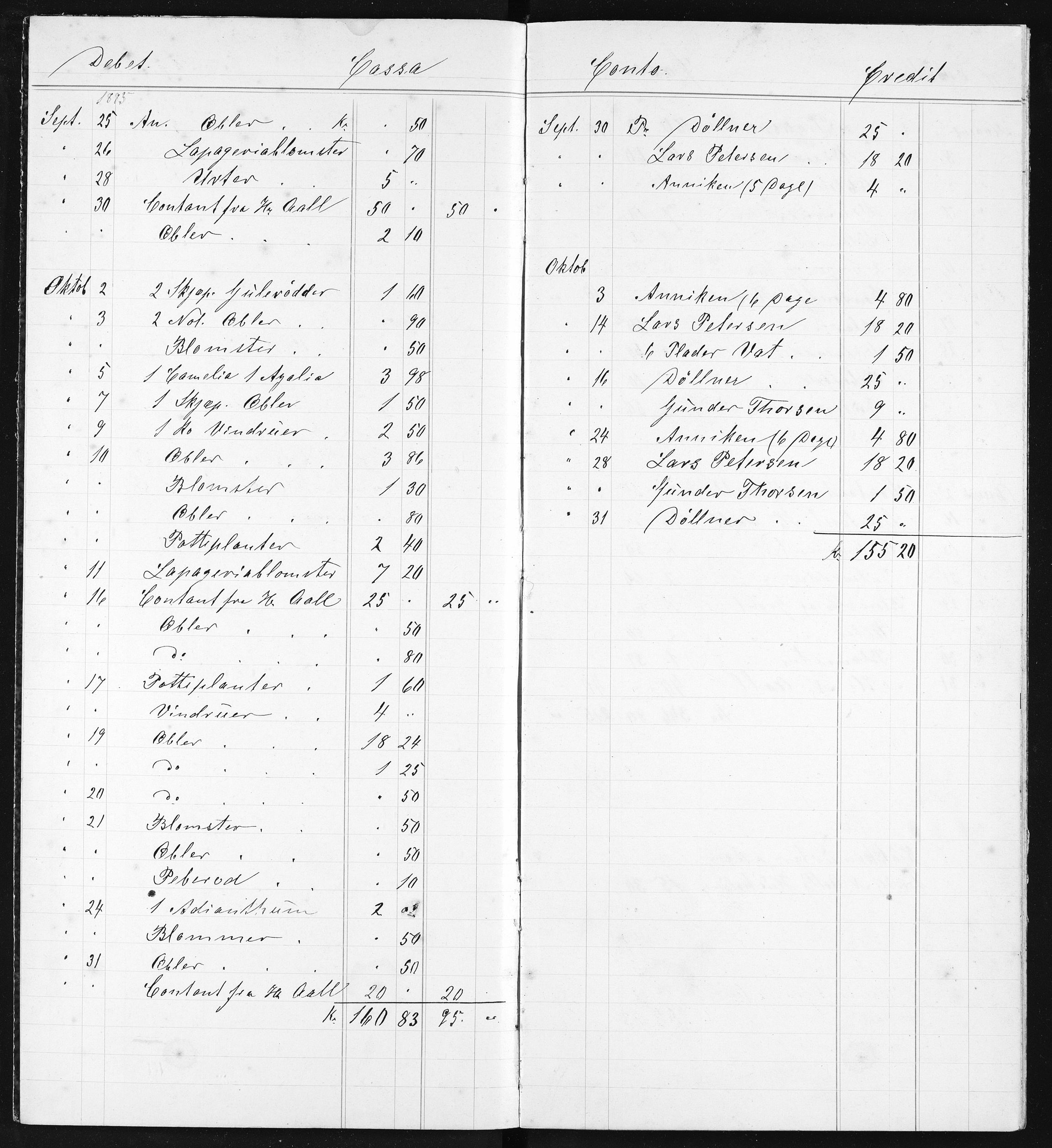 Familien Aalls privatarkiv , NESJ/NJM-005/E-00003/L0001/0001/0005: Dag- og notatbøker / Dølner bokpakke 001, 1878-1909