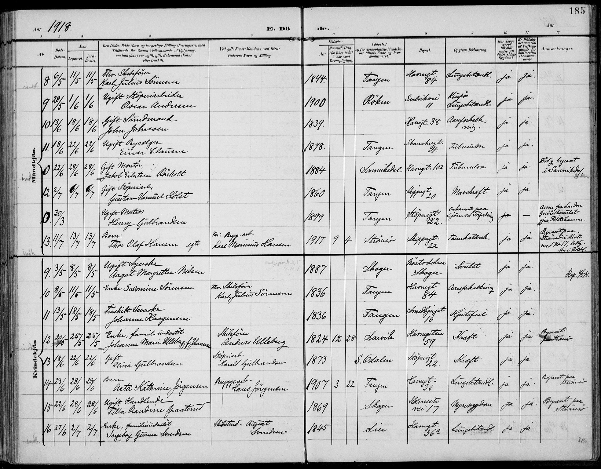 Strømsø kirkebøker, AV/SAKO-A-246/F/Fb/L0008: Parish register (official) no. II 8, 1902-1933, p. 185