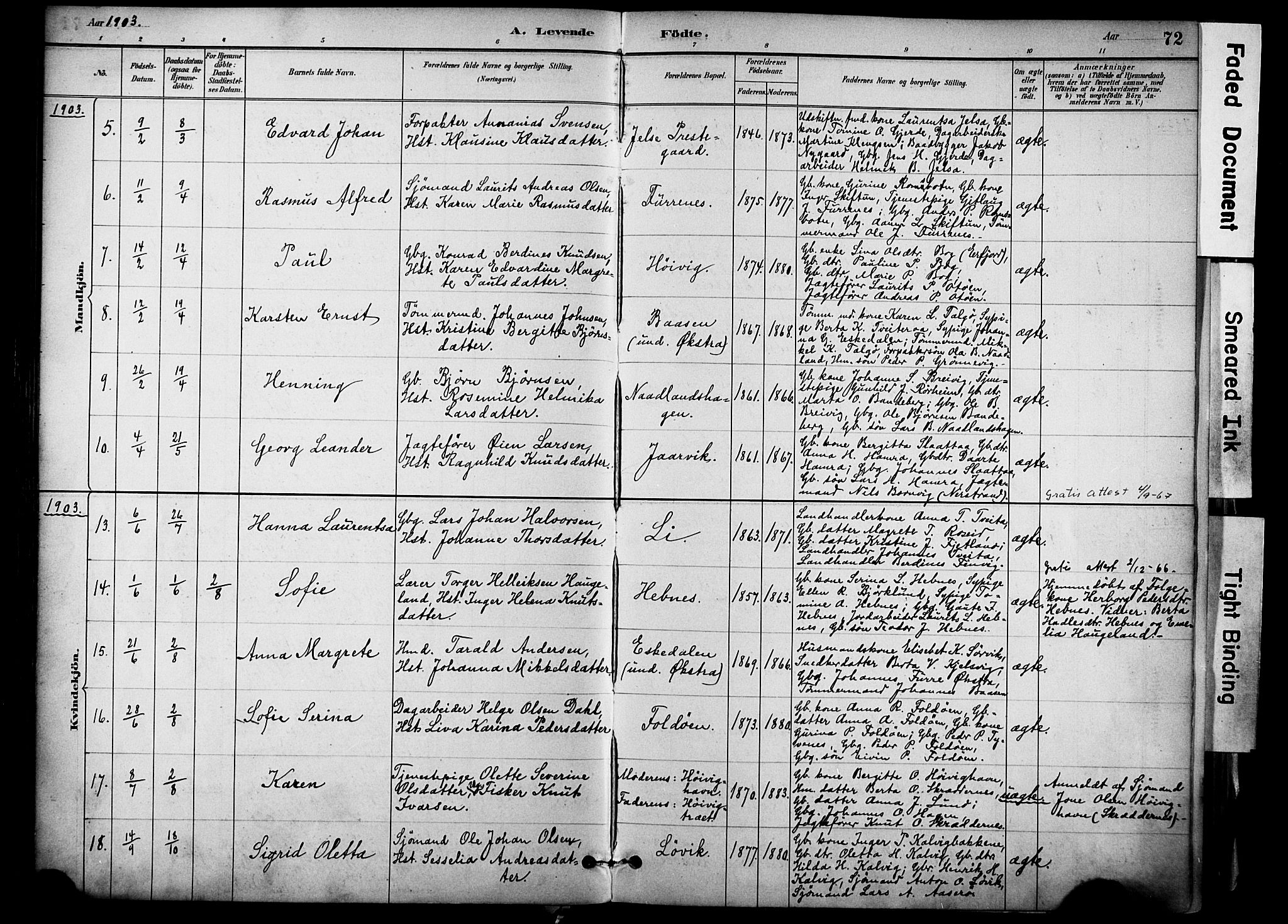 Jelsa sokneprestkontor, AV/SAST-A-101842/01/IV: Parish register (official) no. A 10, 1884-1906, p. 72