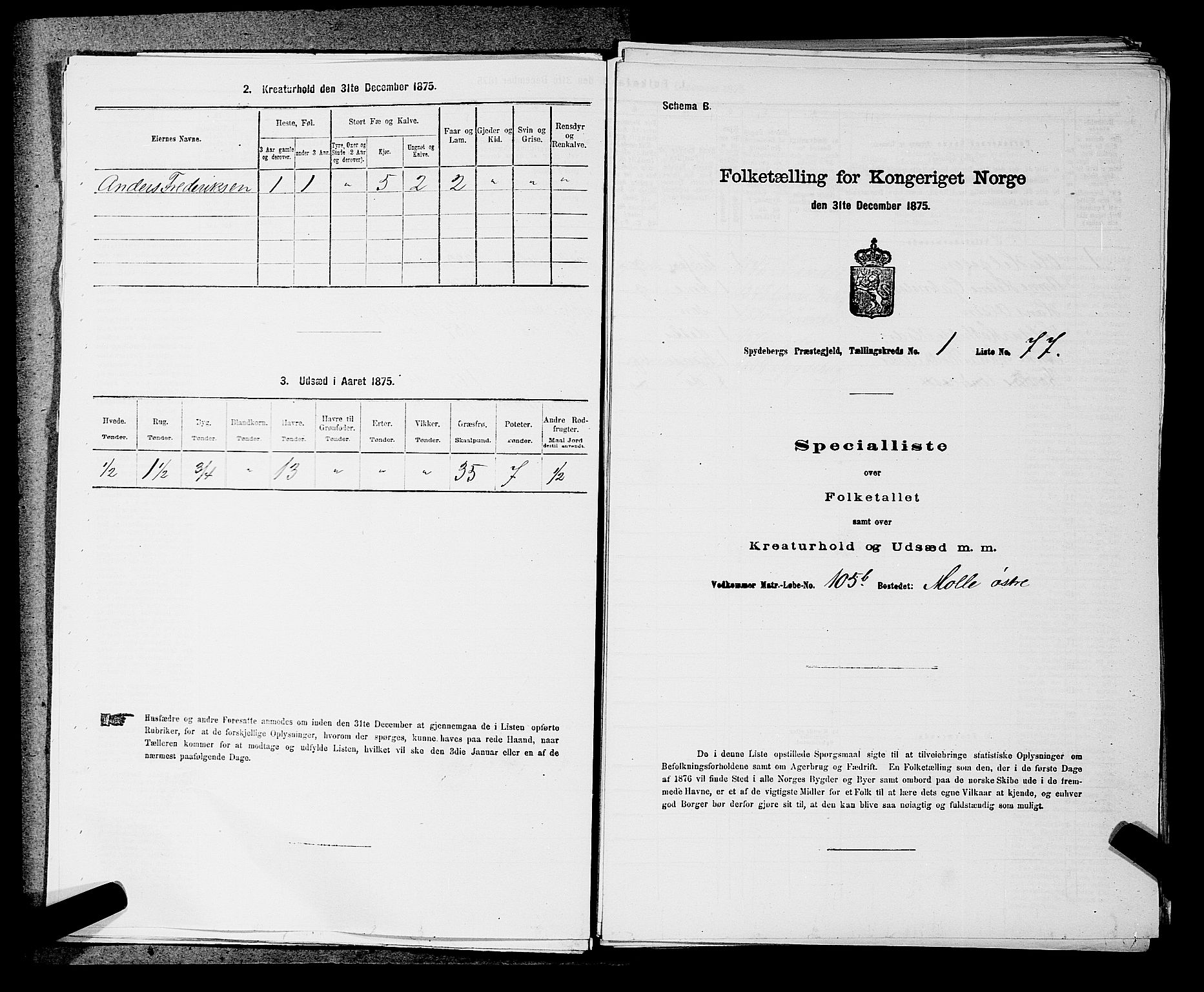 RA, 1875 census for 0123P Spydeberg, 1875, p. 40