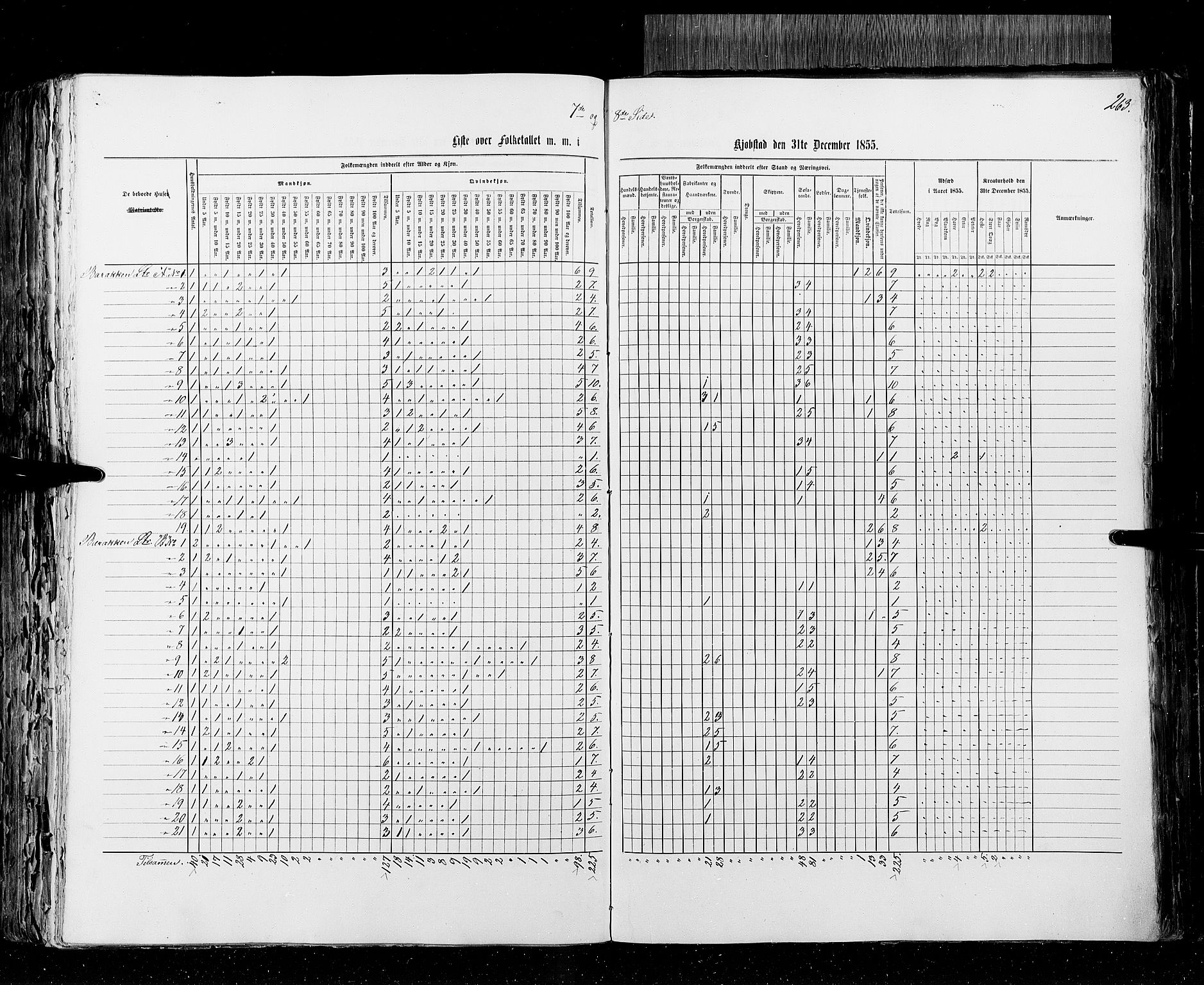 RA, Census 1855, vol. 2: Kristians amt, Buskerud amt og Jarlsberg og Larvik amt, 1855, p. 263