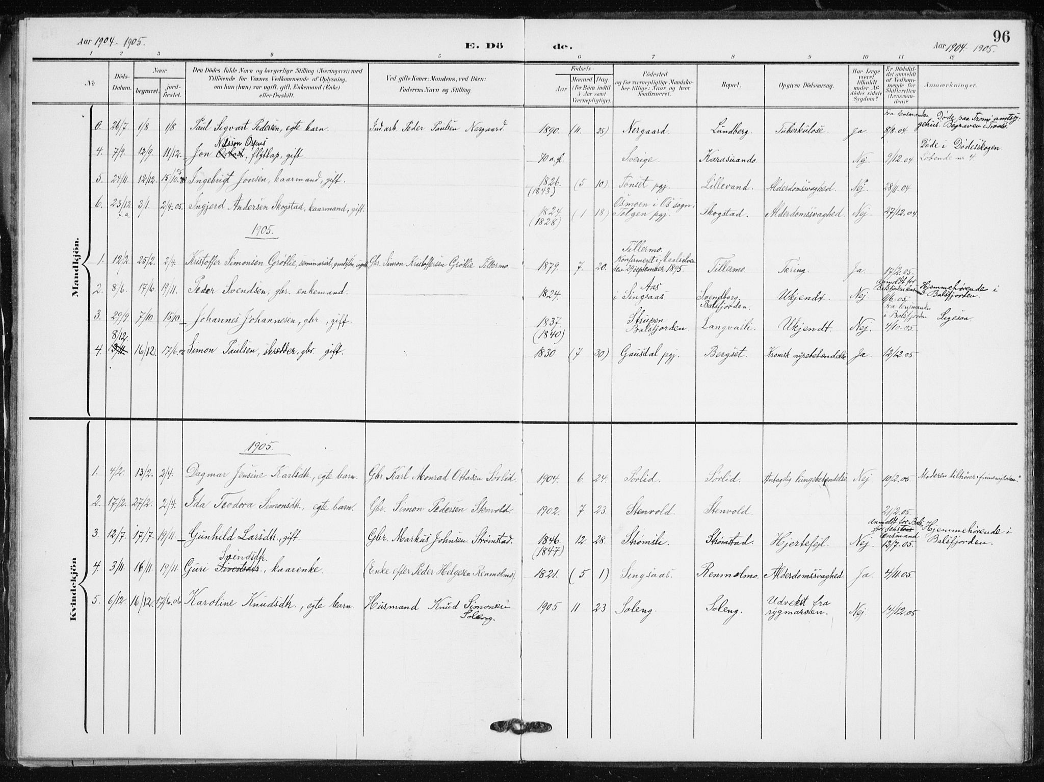 Målselv sokneprestembete, SATØ/S-1311/G/Ga/Gaa/L0012kirke: Parish register (official) no. 12, 1903-1920