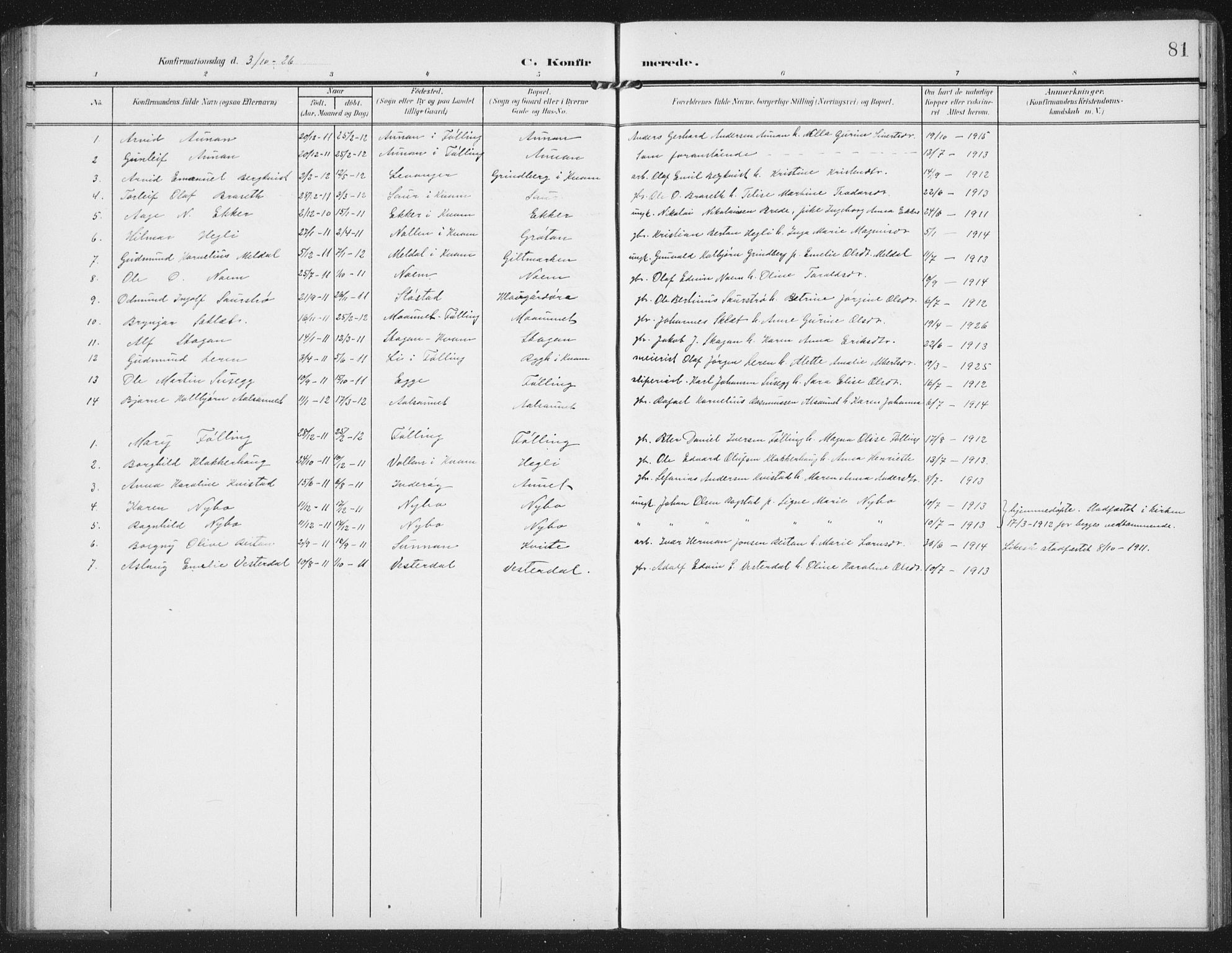 Ministerialprotokoller, klokkerbøker og fødselsregistre - Nord-Trøndelag, SAT/A-1458/747/L0460: Parish register (copy) no. 747C02, 1908-1939, p. 81