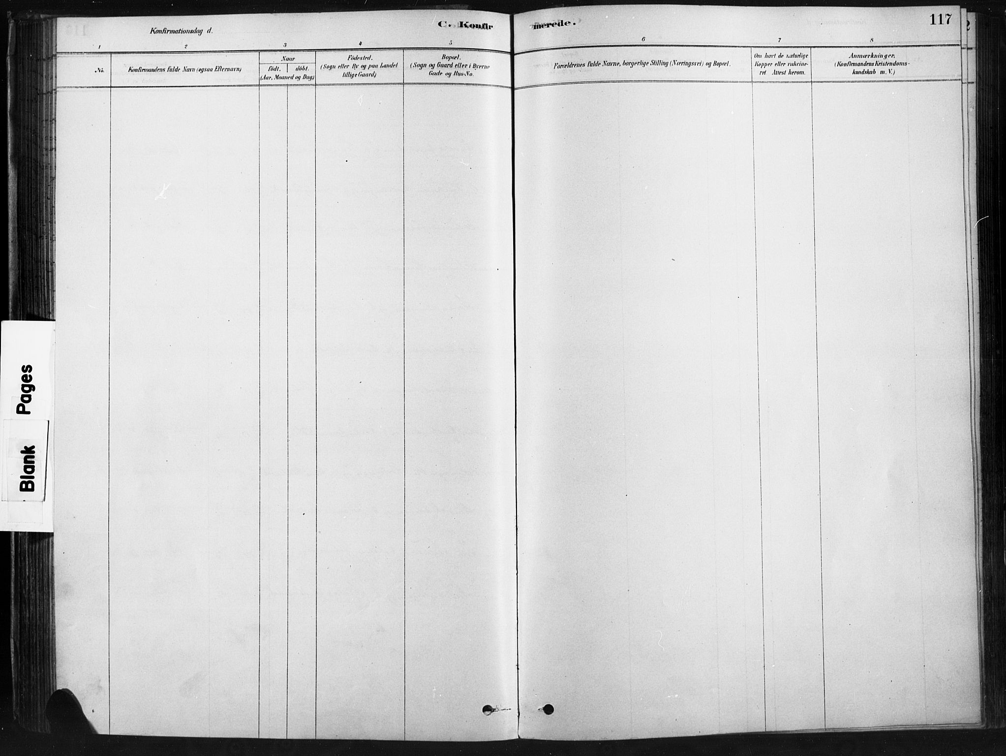 Ringebu prestekontor, SAH/PREST-082/H/Ha/Haa/L0009: Parish register (official) no. 9, 1878-1898, p. 117