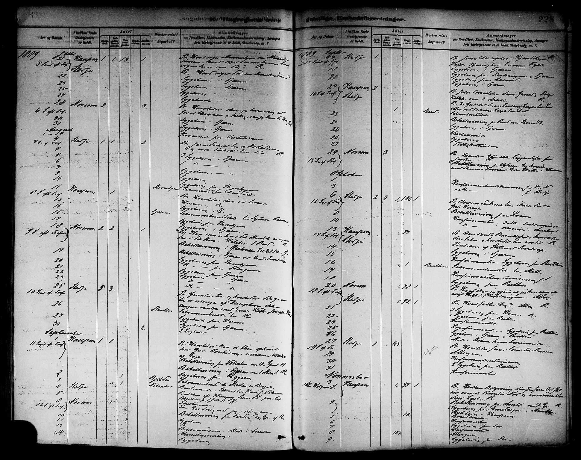 Sogndal sokneprestembete, AV/SAB-A-81301/H/Haa/Haab/L0001: Parish register (official) no. B 1, 1878-1899, p. 228