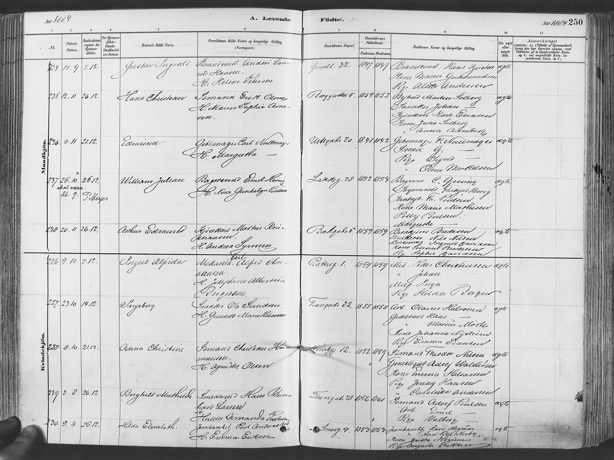 Grønland prestekontor Kirkebøker, AV/SAO-A-10848/F/Fa/L0007: Parish register (official) no. 7, 1878-1888, p. 250