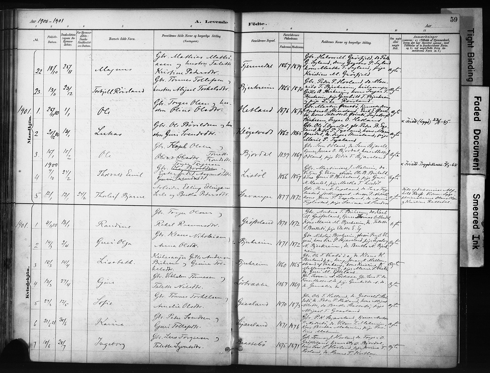 Helleland sokneprestkontor, AV/SAST-A-101810: Parish register (official) no. A 9, 1887-1908, p. 59