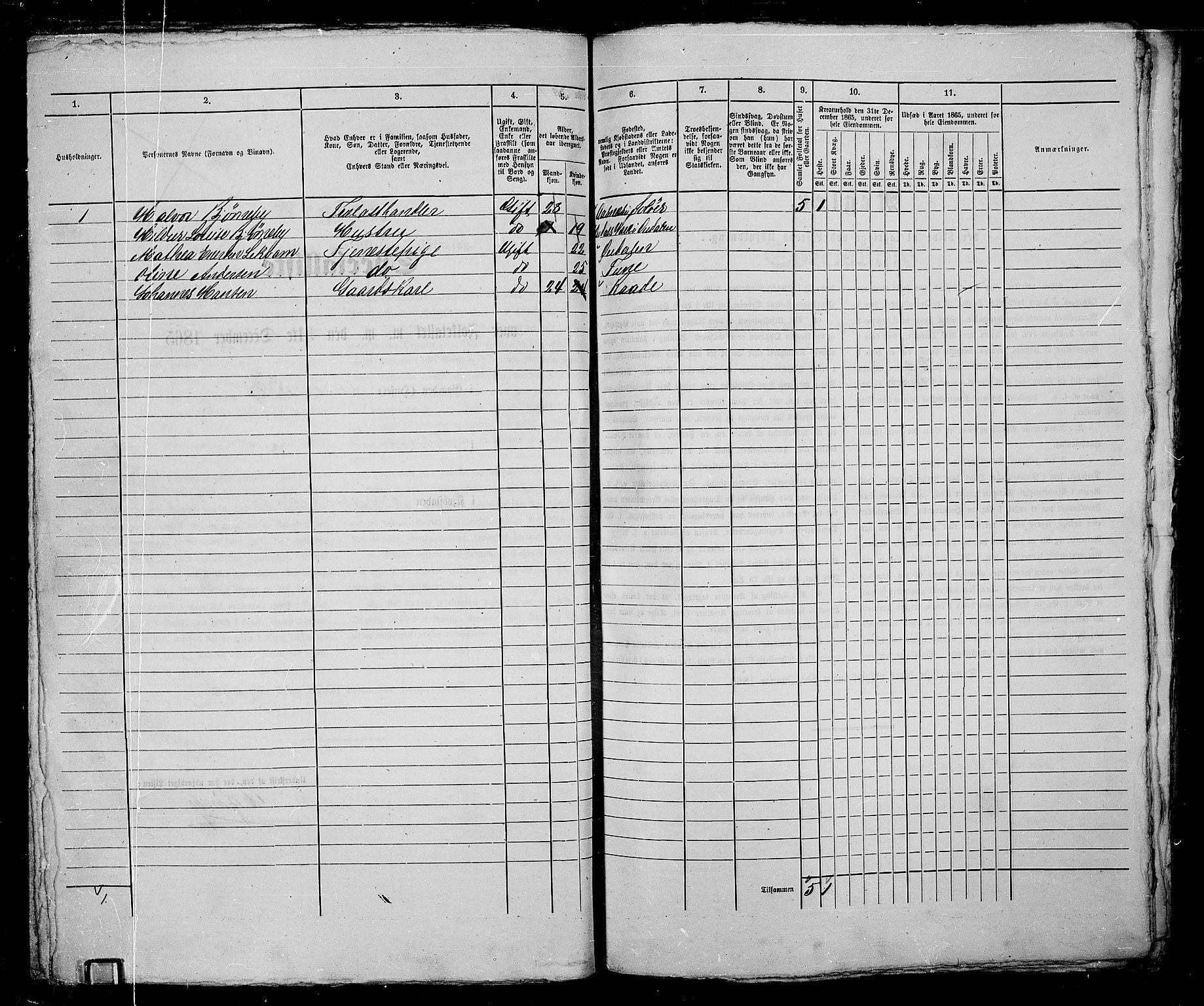RA, 1865 census for Fredrikstad/Fredrikstad, 1865, p. 203