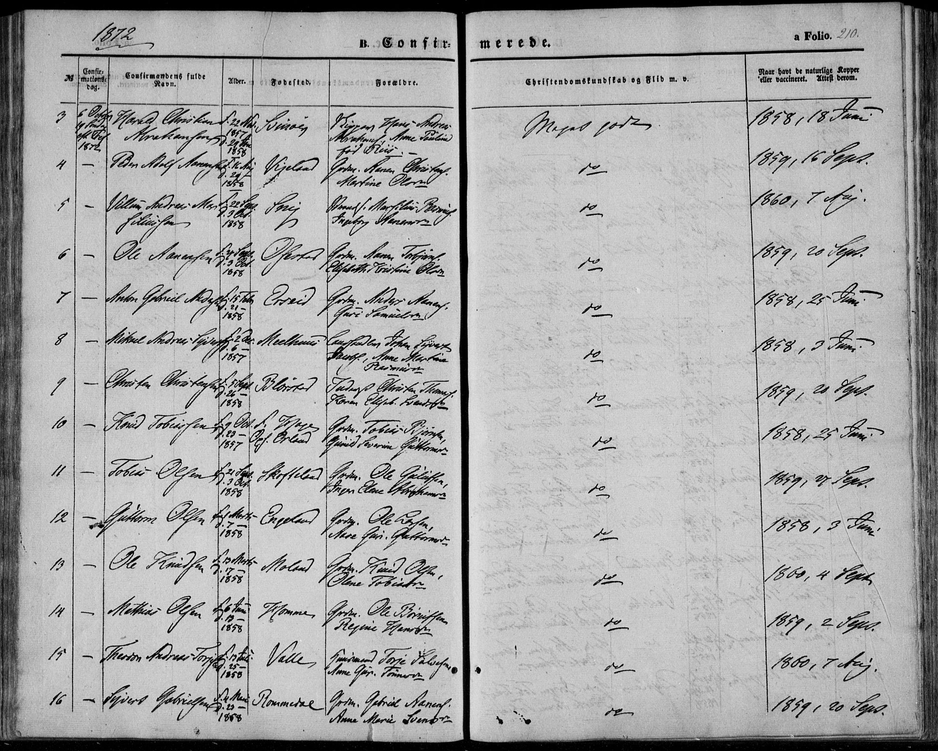 Sør-Audnedal sokneprestkontor, AV/SAK-1111-0039/F/Fa/Fab/L0007: Parish register (official) no. A 7, 1855-1876, p. 210