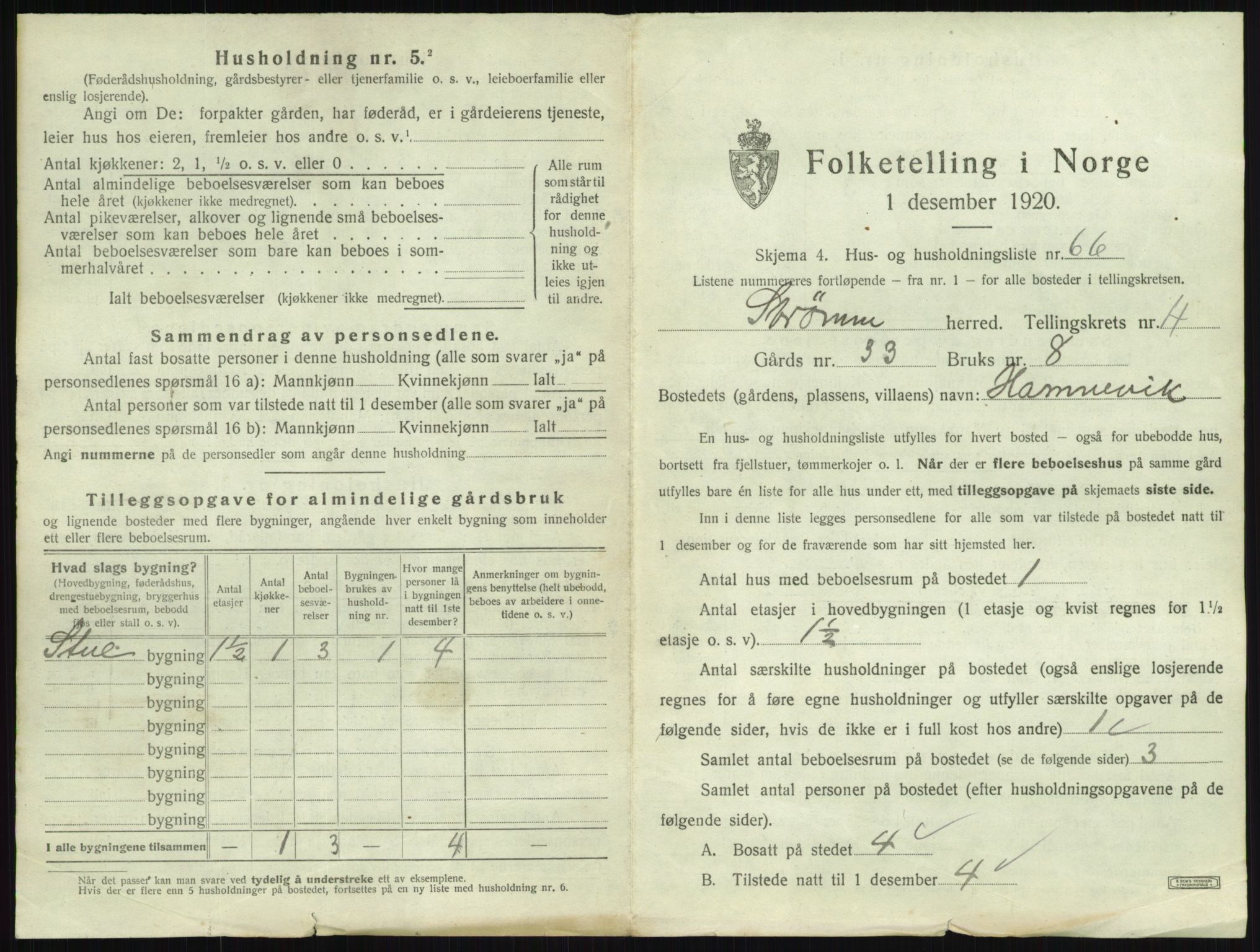 SAKO, 1920 census for Strømm, 1920, p. 567