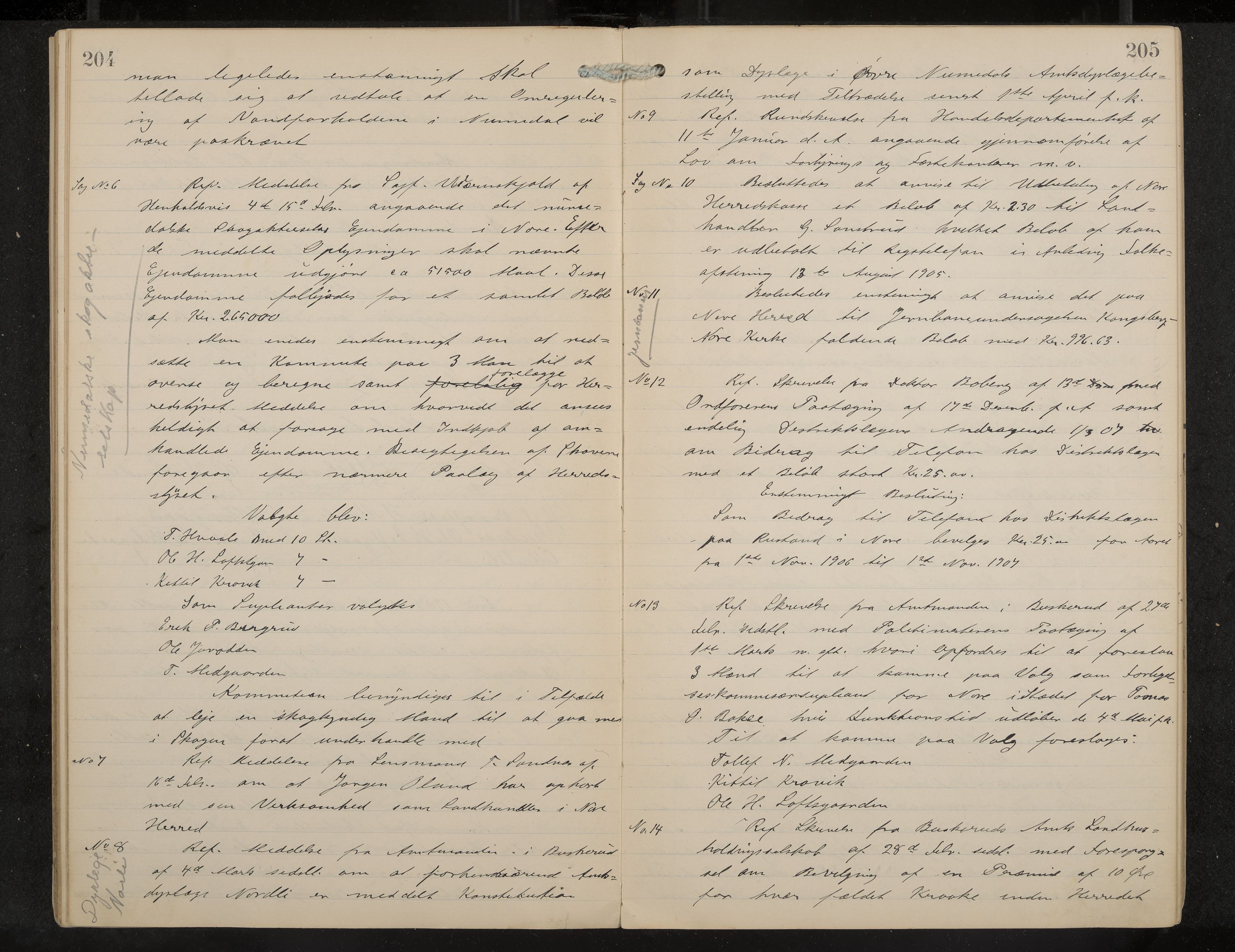 Nore formannskap og sentraladministrasjon, IKAK/0633021-2/A/Aa/L0001: Møtebok, 1901-1911, p. 204-205