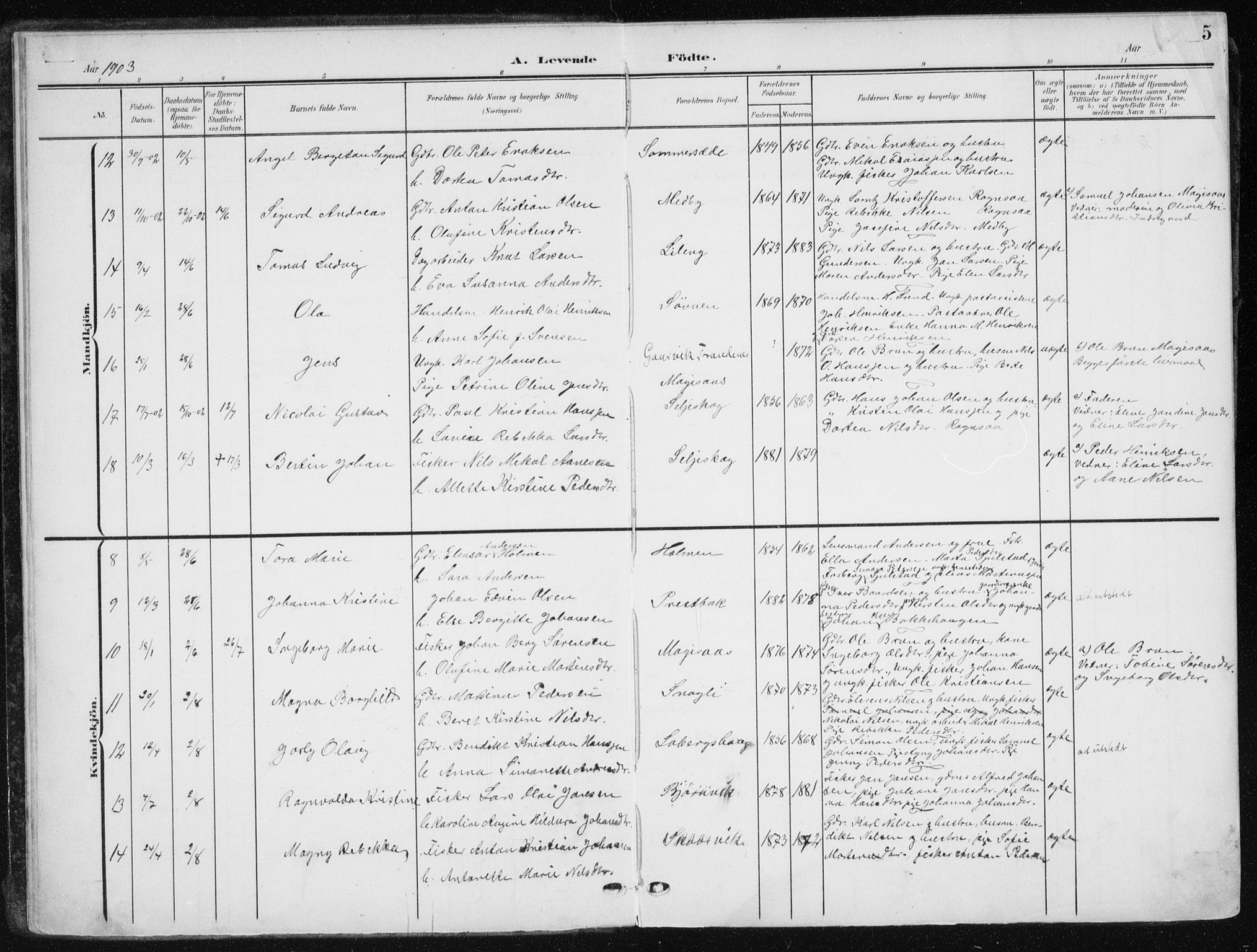 Salangen sokneprestembete, AV/SATØ-S-1324/H/Ha/L0002kirke: Parish register (official) no. 2, 1902-1911, p. 5