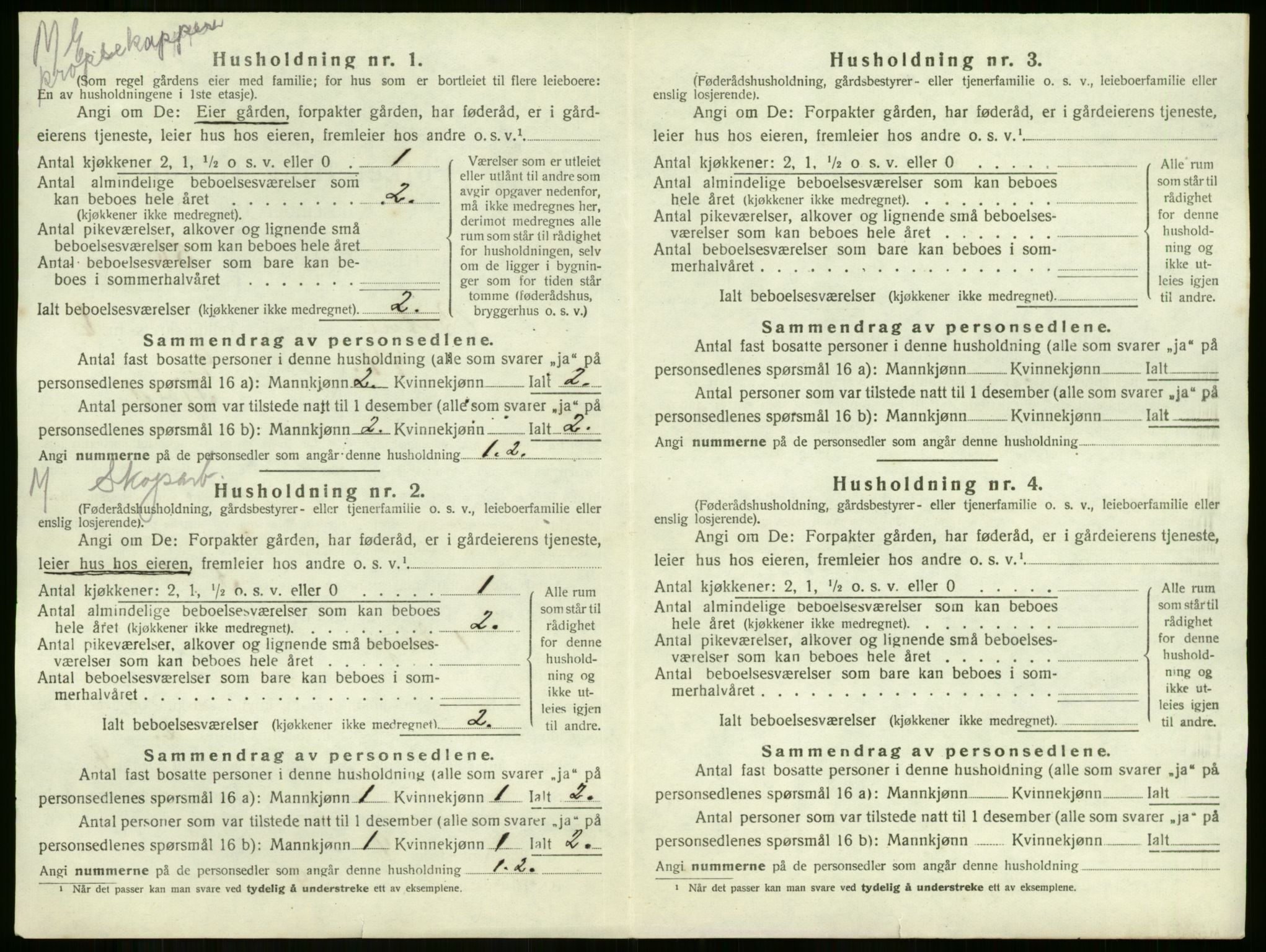 SAKO, 1920 census for Botne, 1920, p. 851