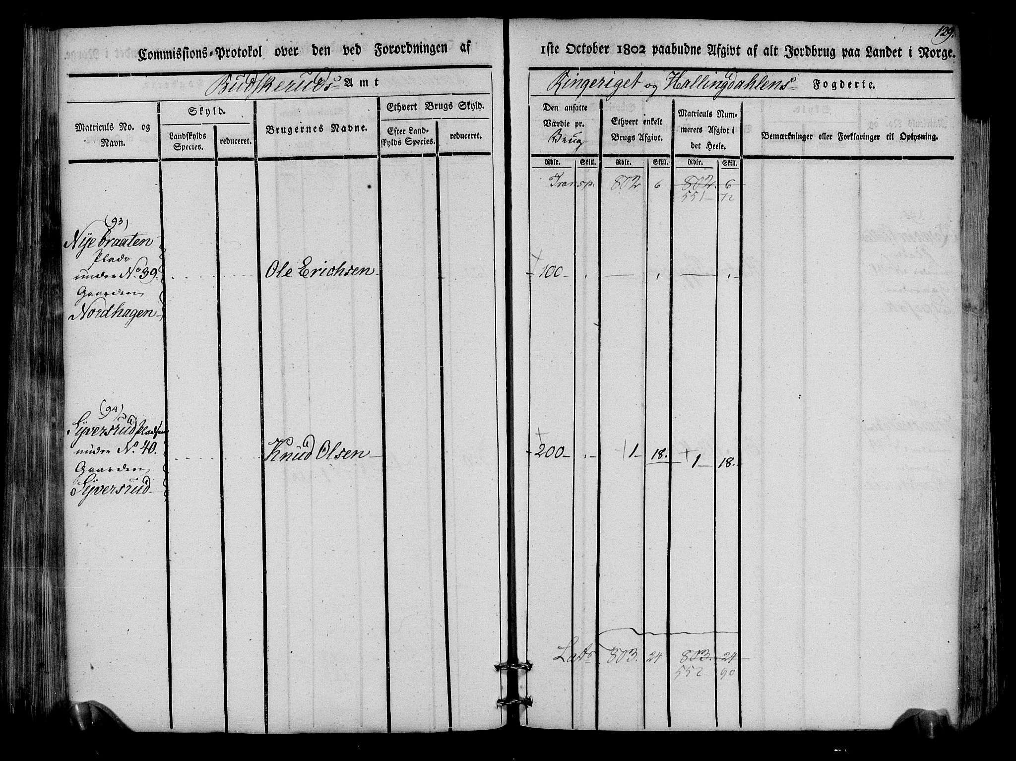 Rentekammeret inntil 1814, Realistisk ordnet avdeling, AV/RA-EA-4070/N/Ne/Nea/L0047: Ringerike og Hallingdal fogderi. Kommisjonsprotokoll for Nes prestegjeld, 1803, p. 132