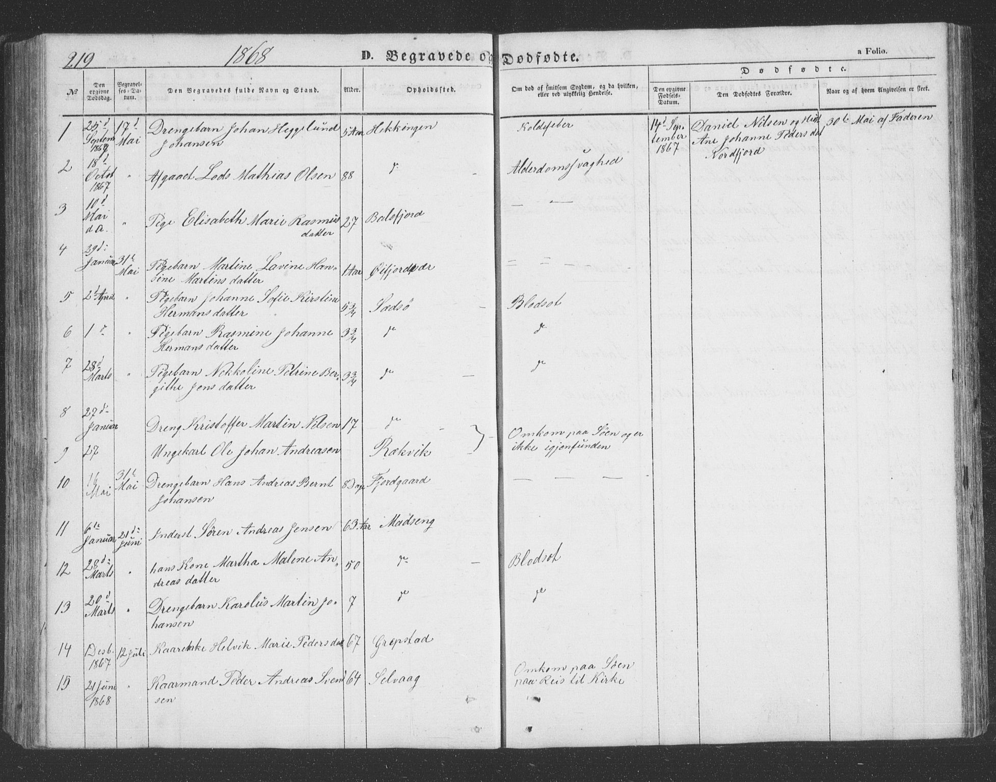 Lenvik sokneprestembete, SATØ/S-1310/H/Ha/Hab/L0020klokker: Parish register (copy) no. 20, 1855-1883, p. 219