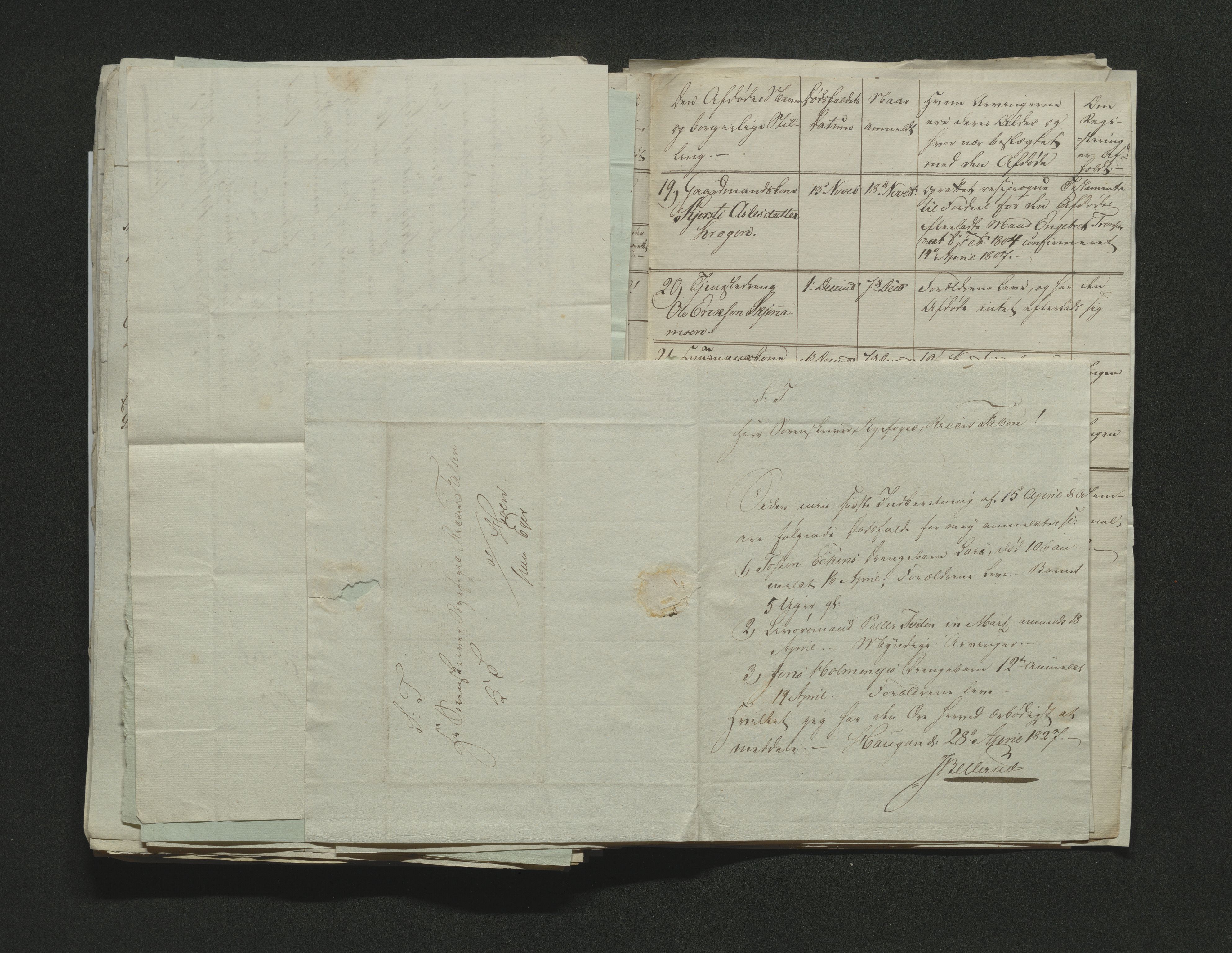 Eiker, Modum og Sigdal sorenskriveri, AV/SAKO-A-123/H/Ha/Hab/L0002: Dødsfallsmeldinger, 1823-1829, p. 219