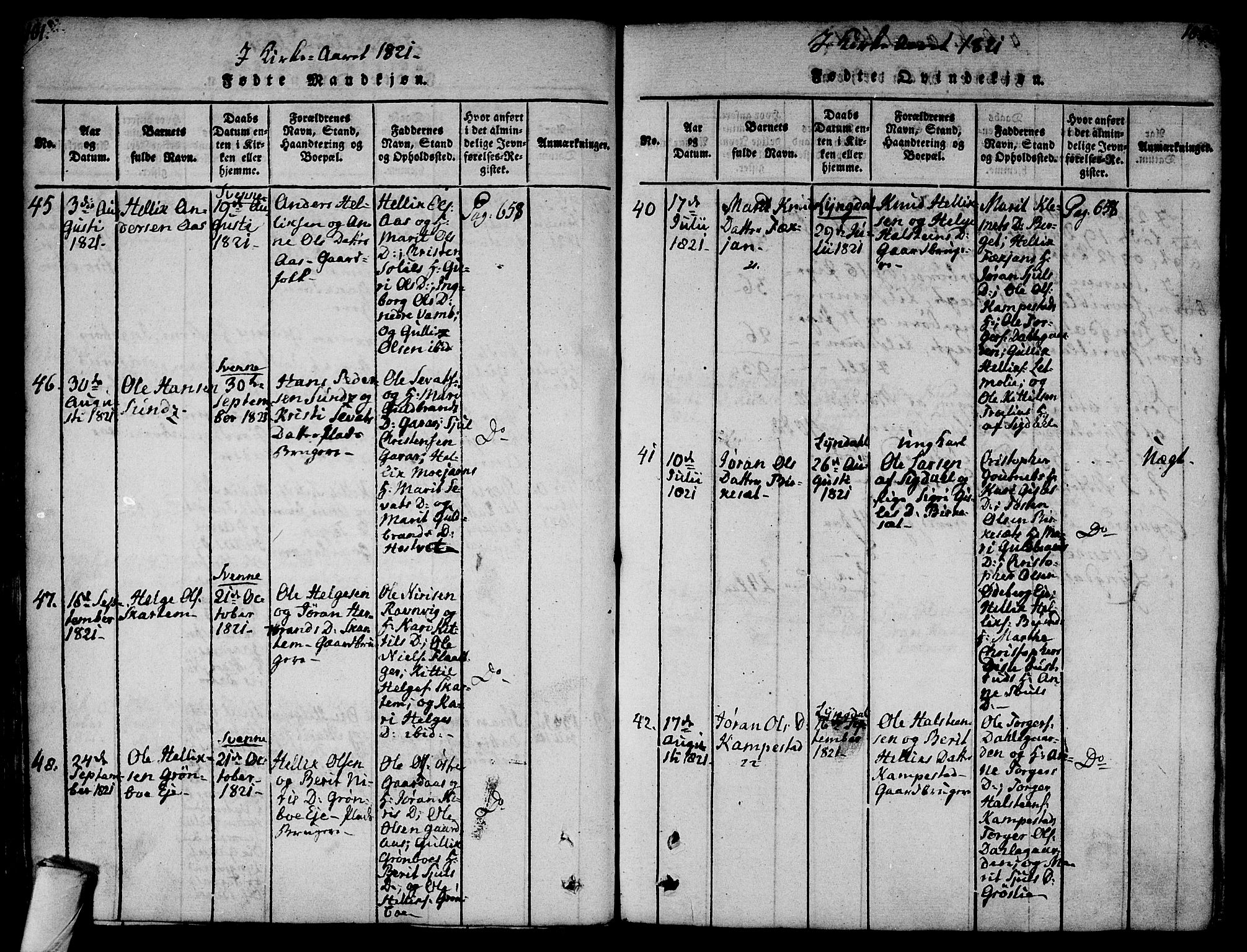 Flesberg kirkebøker, AV/SAKO-A-18/F/Fa/L0005: Parish register (official) no. I 5, 1816-1834, p. 101-102