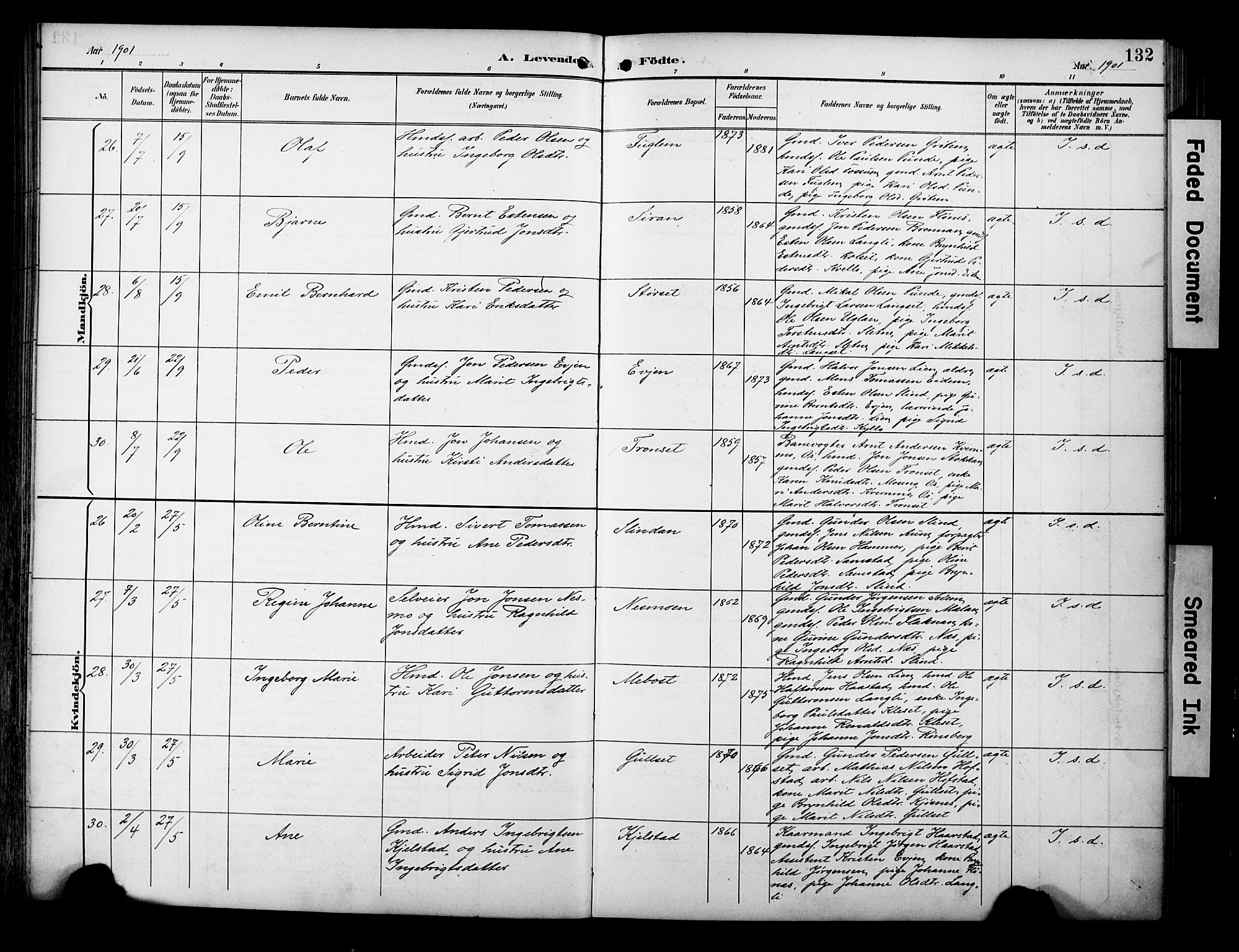 Ministerialprotokoller, klokkerbøker og fødselsregistre - Sør-Trøndelag, AV/SAT-A-1456/695/L1149: Parish register (official) no. 695A09, 1891-1902, p. 132