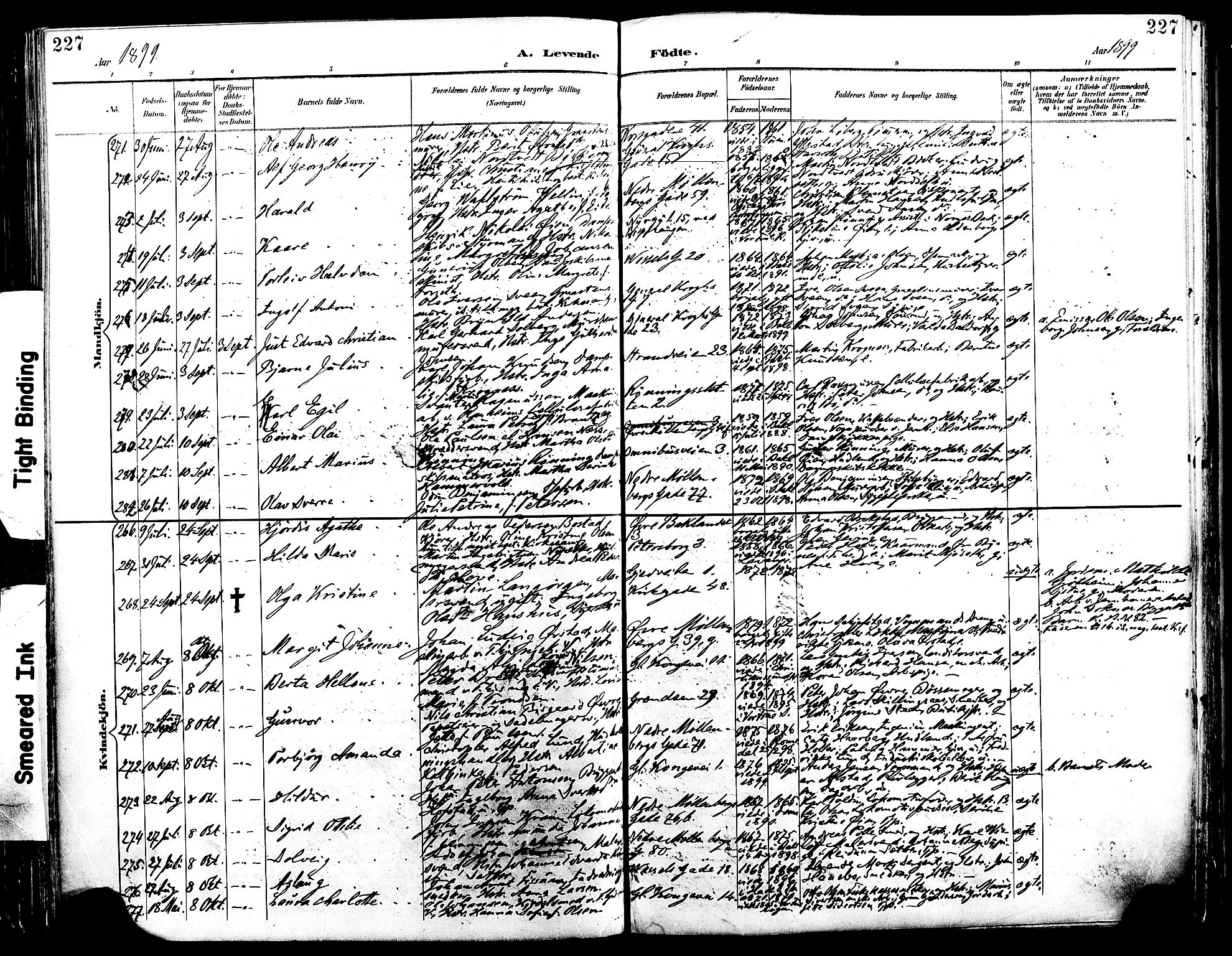 Ministerialprotokoller, klokkerbøker og fødselsregistre - Sør-Trøndelag, SAT/A-1456/604/L0197: Parish register (official) no. 604A18, 1893-1900, p. 227