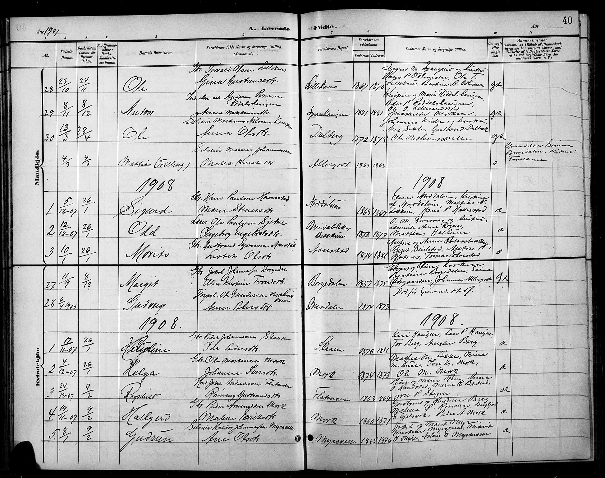 Ringebu prestekontor, SAH/PREST-082/H/Ha/Hab/L0009: Parish register (copy) no. 9, 1899-1921, p. 40