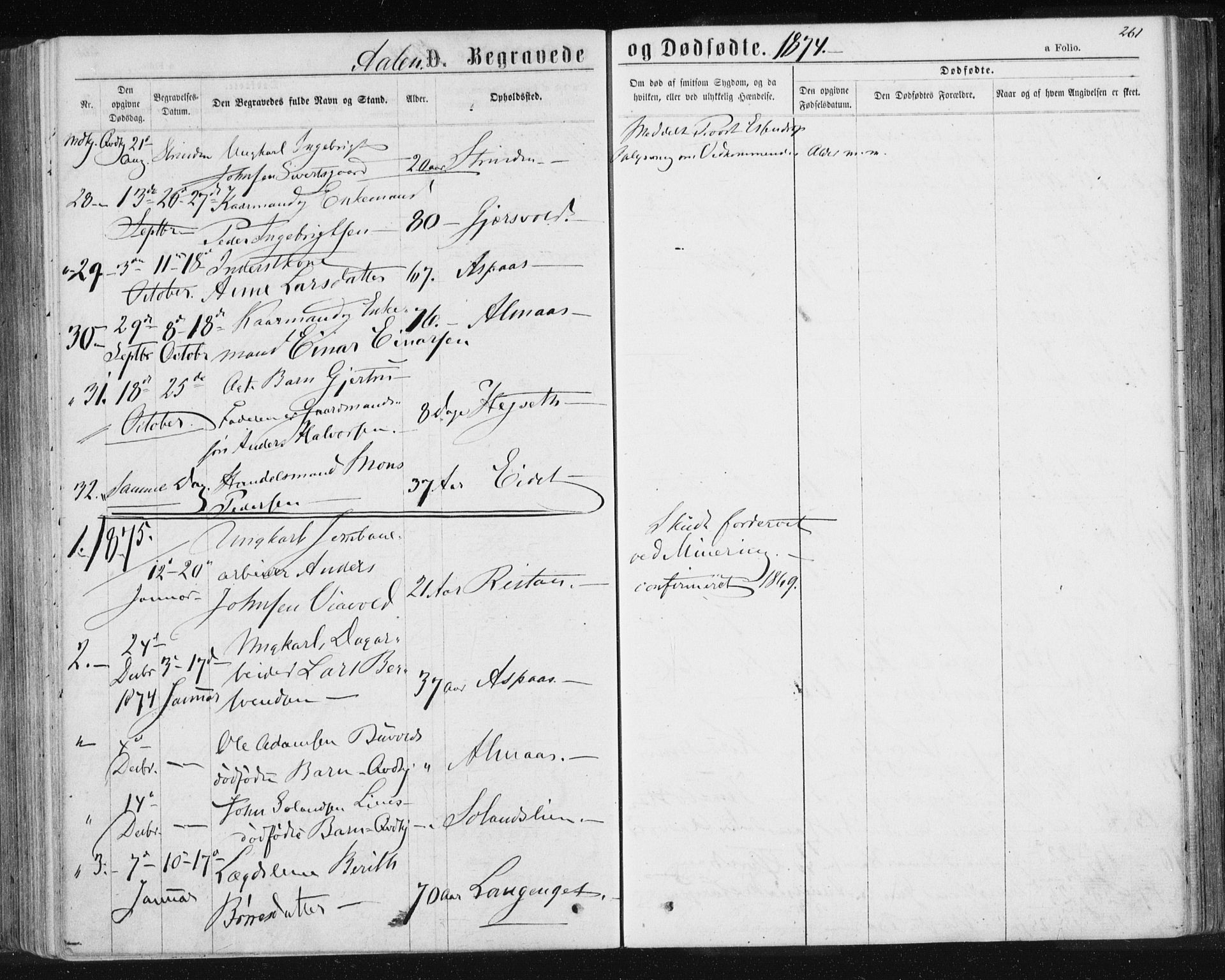 Ministerialprotokoller, klokkerbøker og fødselsregistre - Sør-Trøndelag, SAT/A-1456/685/L0971: Parish register (official) no. 685A08 /3, 1870-1879, p. 261