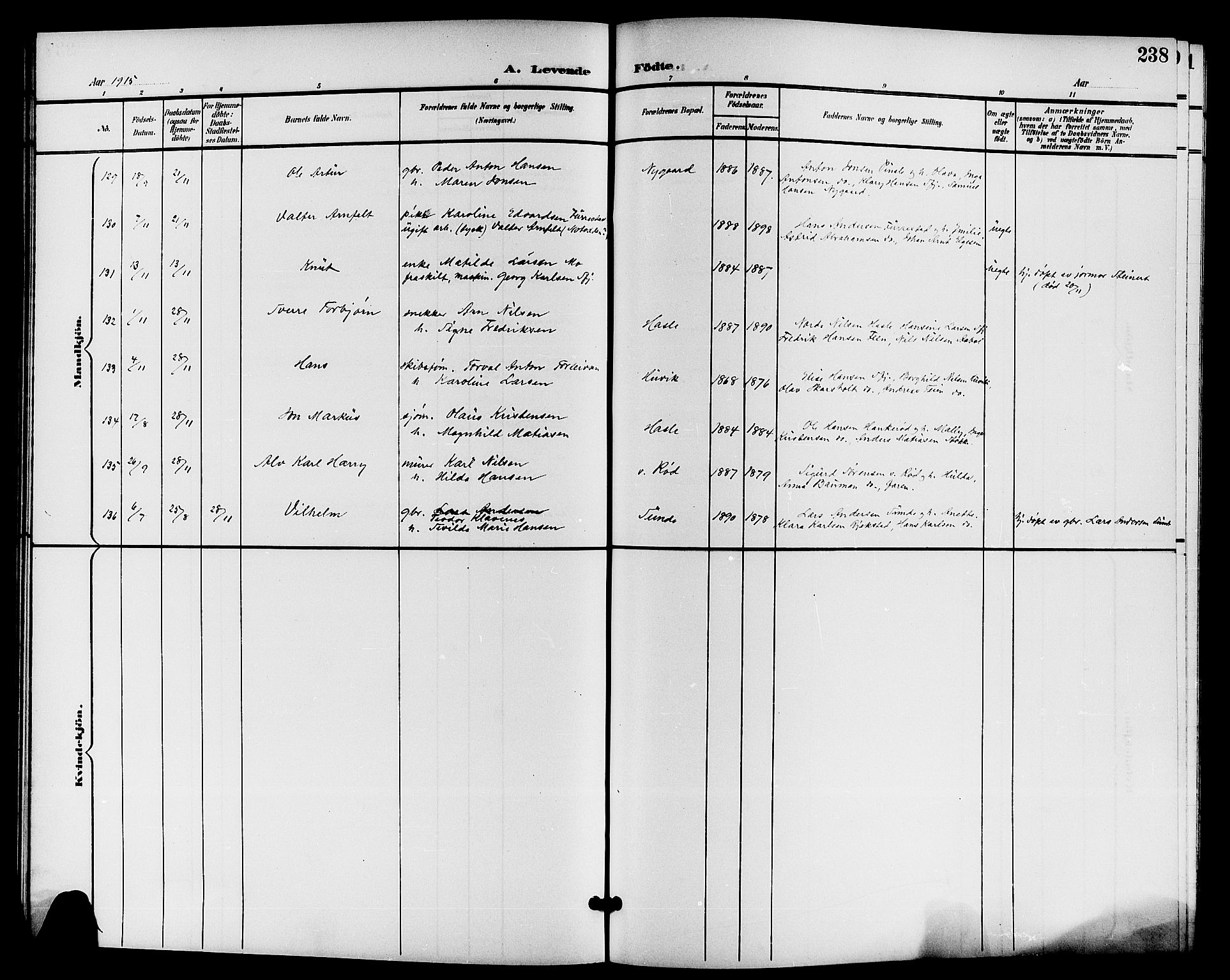 Sandar kirkebøker, AV/SAKO-A-243/G/Ga/L0002: Parish register (copy) no. 2, 1900-1915, p. 238