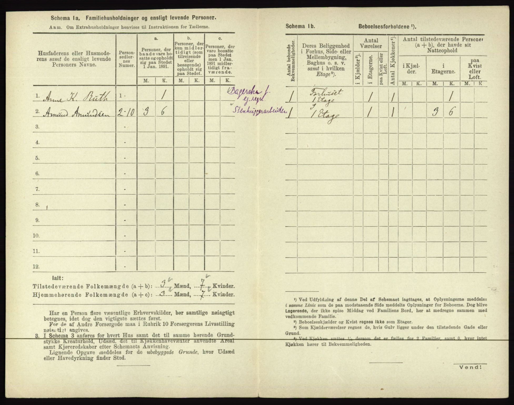 RA, 1891 census for 0602 Drammen, 1891, p. 294