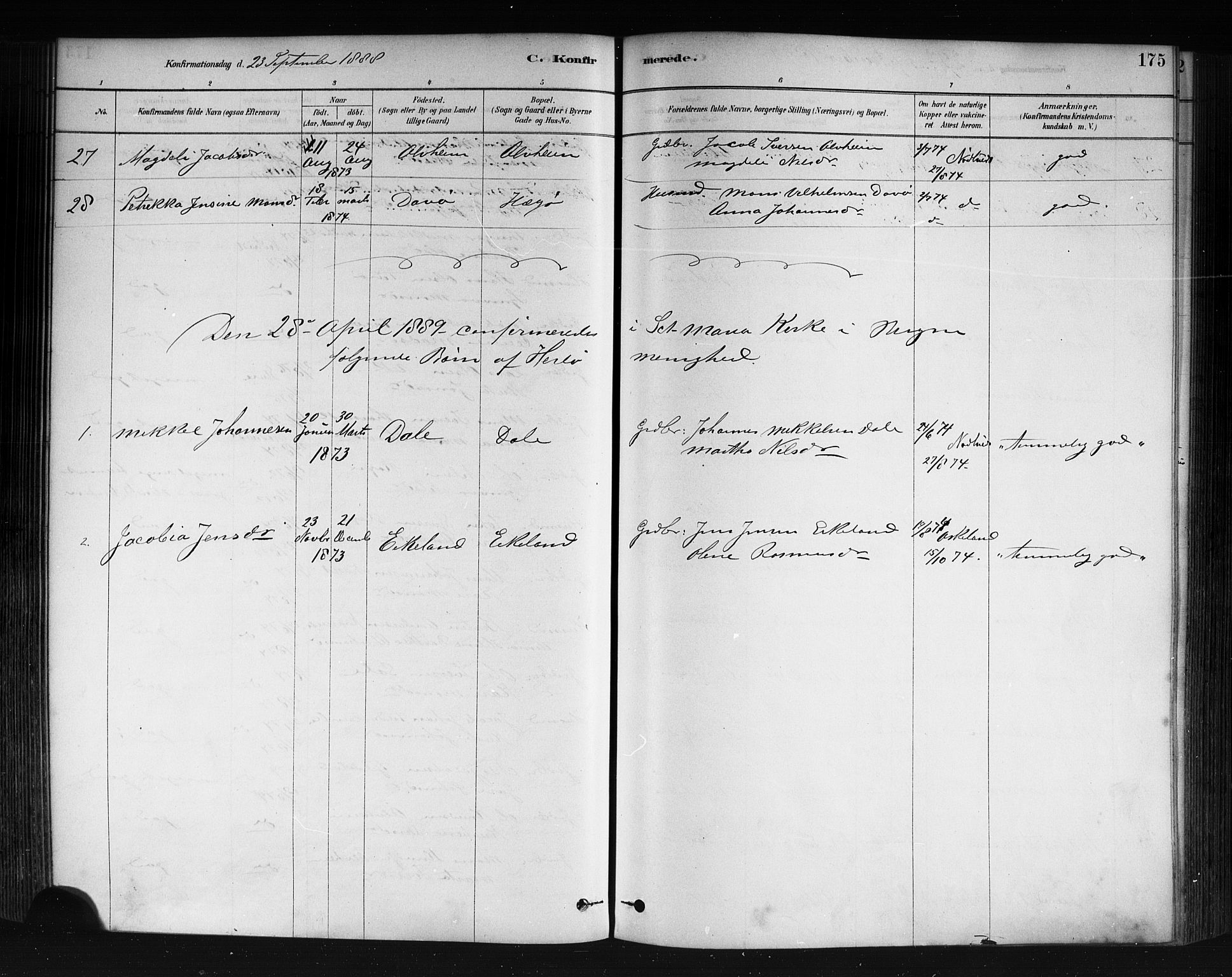 Herdla Sokneprestembete, AV/SAB-A-75701/H/Haa: Parish register (official) no. A 3, 1878-1890, p. 175