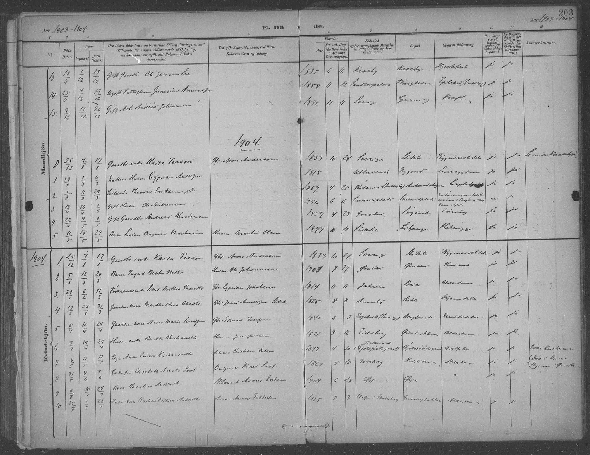 Aremark prestekontor Kirkebøker, SAO/A-10899/F/Fb/L0005: Parish register (official) no. II 5, 1895-1919, p. 203