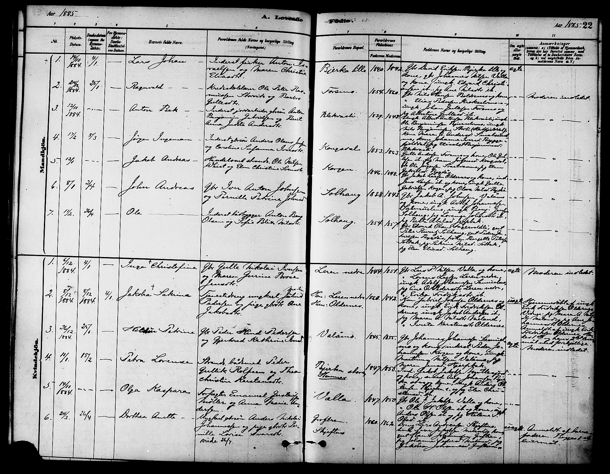 Ministerialprotokoller, klokkerbøker og fødselsregistre - Nordland, AV/SAT-A-1459/826/L0379: Parish register (official) no. 826A02, 1878-1895, p. 22