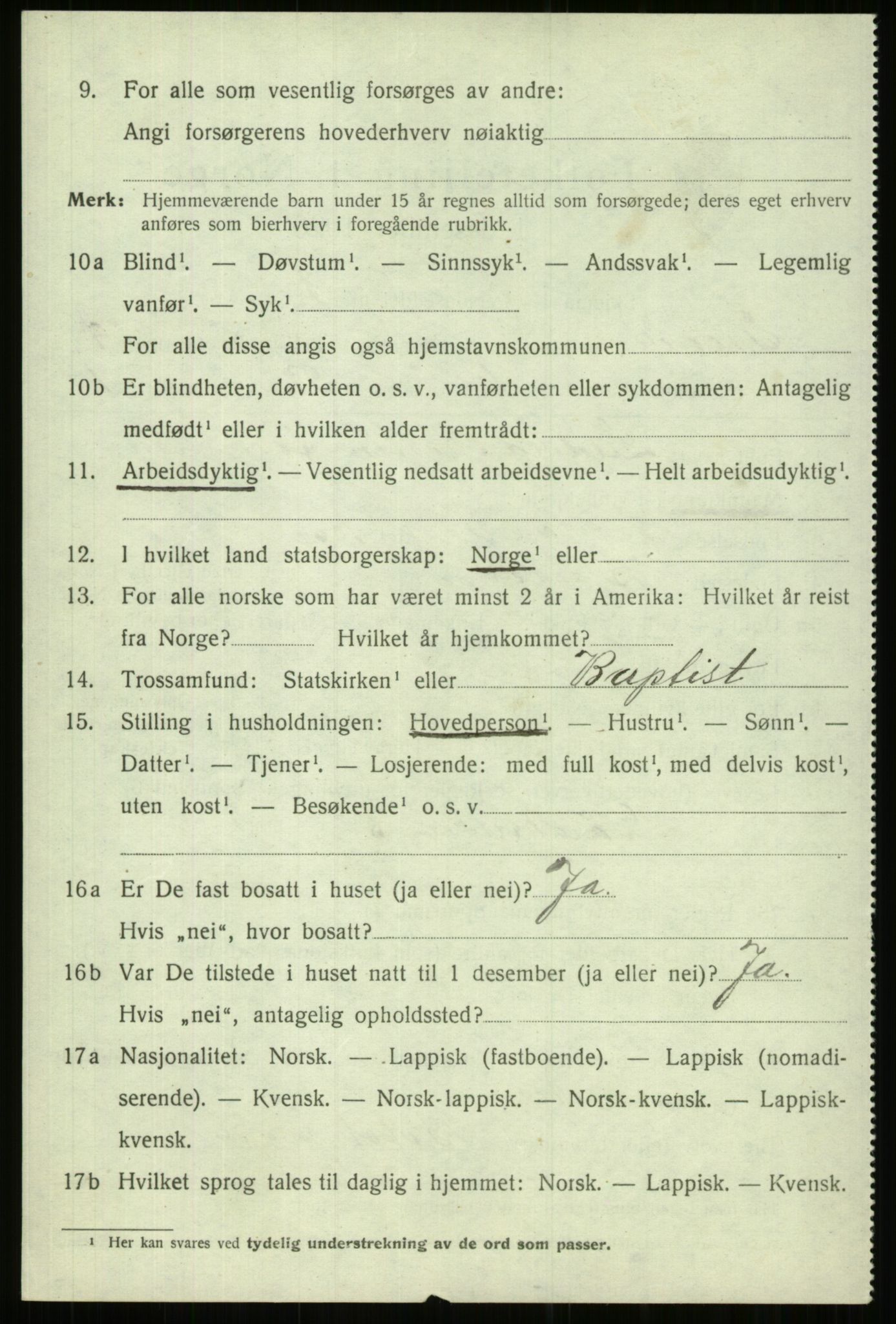 SATØ, 1920 census for Trondenes, 1920, p. 20806