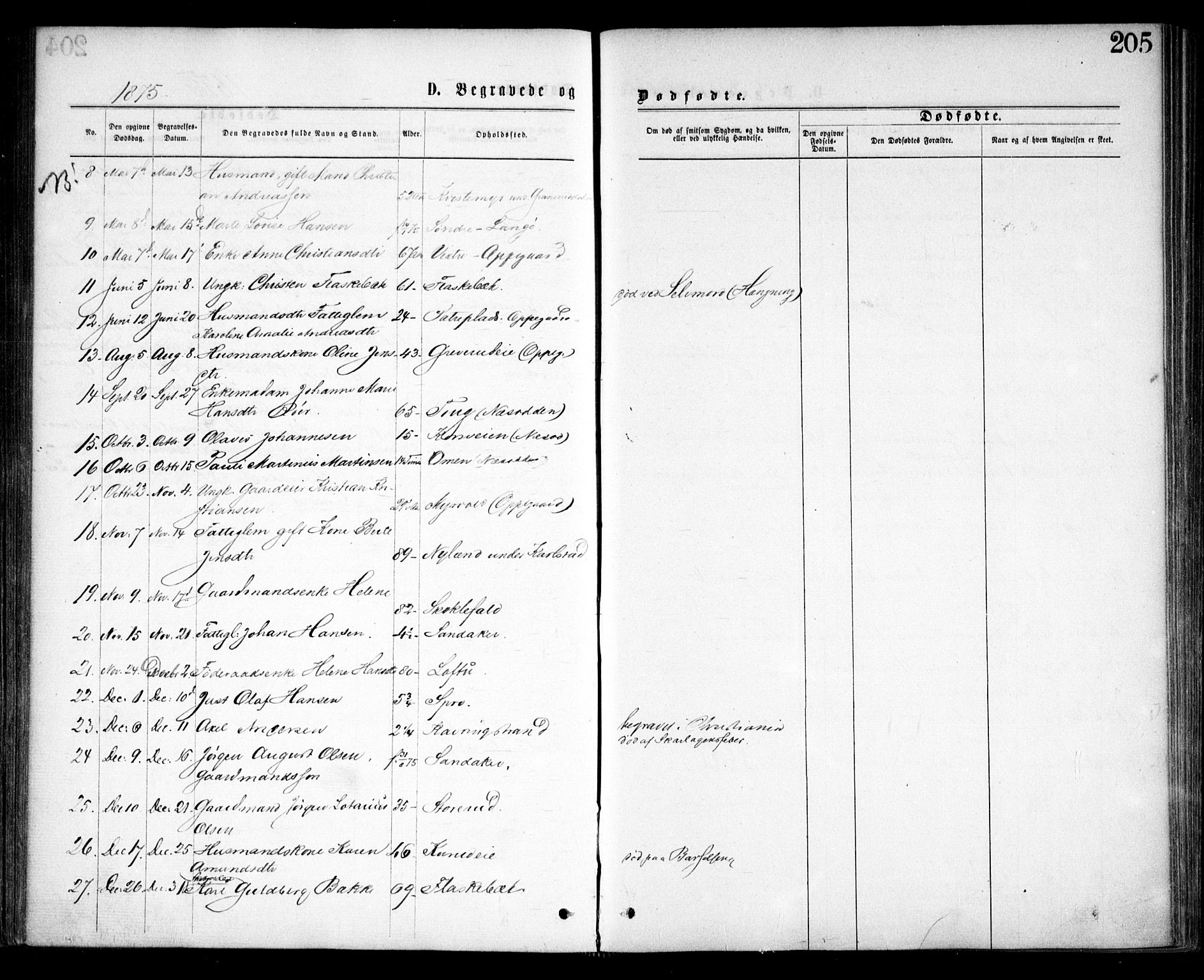 Nesodden prestekontor Kirkebøker, AV/SAO-A-10013/F/Fa/L0008: Parish register (official) no. I 8, 1869-1879, p. 205